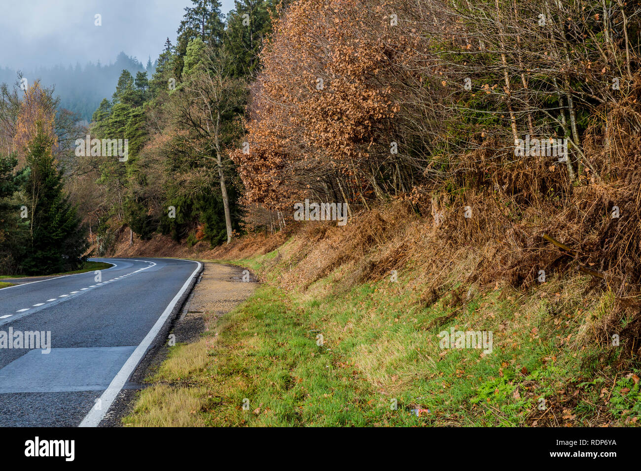Schönes Bild eines leeren Straße mit einer Kurve zwischen Bäumen mitten im Wald an einem bewölkten Tag mit Dunst in den Belgischen Ardennen Stockfoto