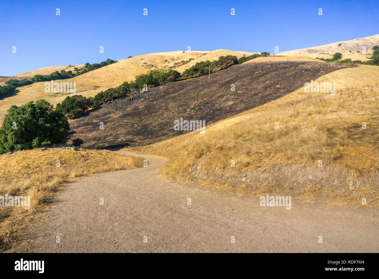Verbrannte gras Bereich auf der goldenen Hügel der Mission Peak bewahren, South San Francisco Bay, Kalifornien Stockfoto