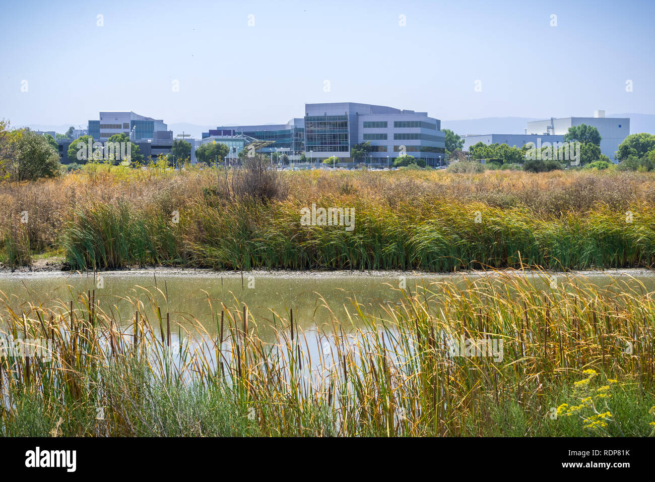 Wasserstraße im Süden der Bucht von San Francisco; Yahoo HQ im Hintergrund; Sunnyvale, Kalifornien Stockfoto