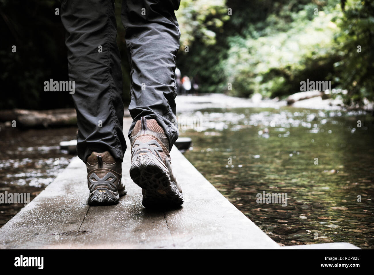 Mann zu Fuß auf einer hölzernen Brücke, Farn Schlucht, Prairie Creek Redwoods State Park, Kalifornien Stockfoto