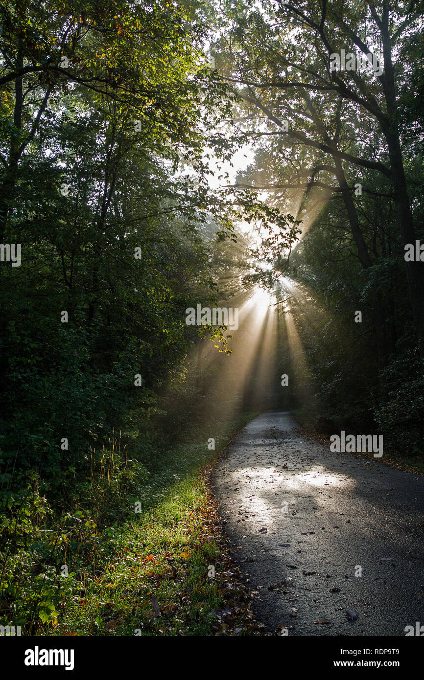 Trail von der Sonne beschienen Stockfoto