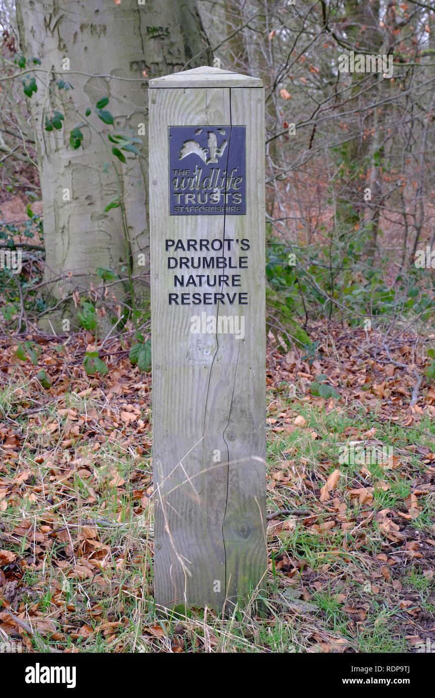 Parrot's Drumble, Talk, Staffordshire Wildlife Trust Stockfoto