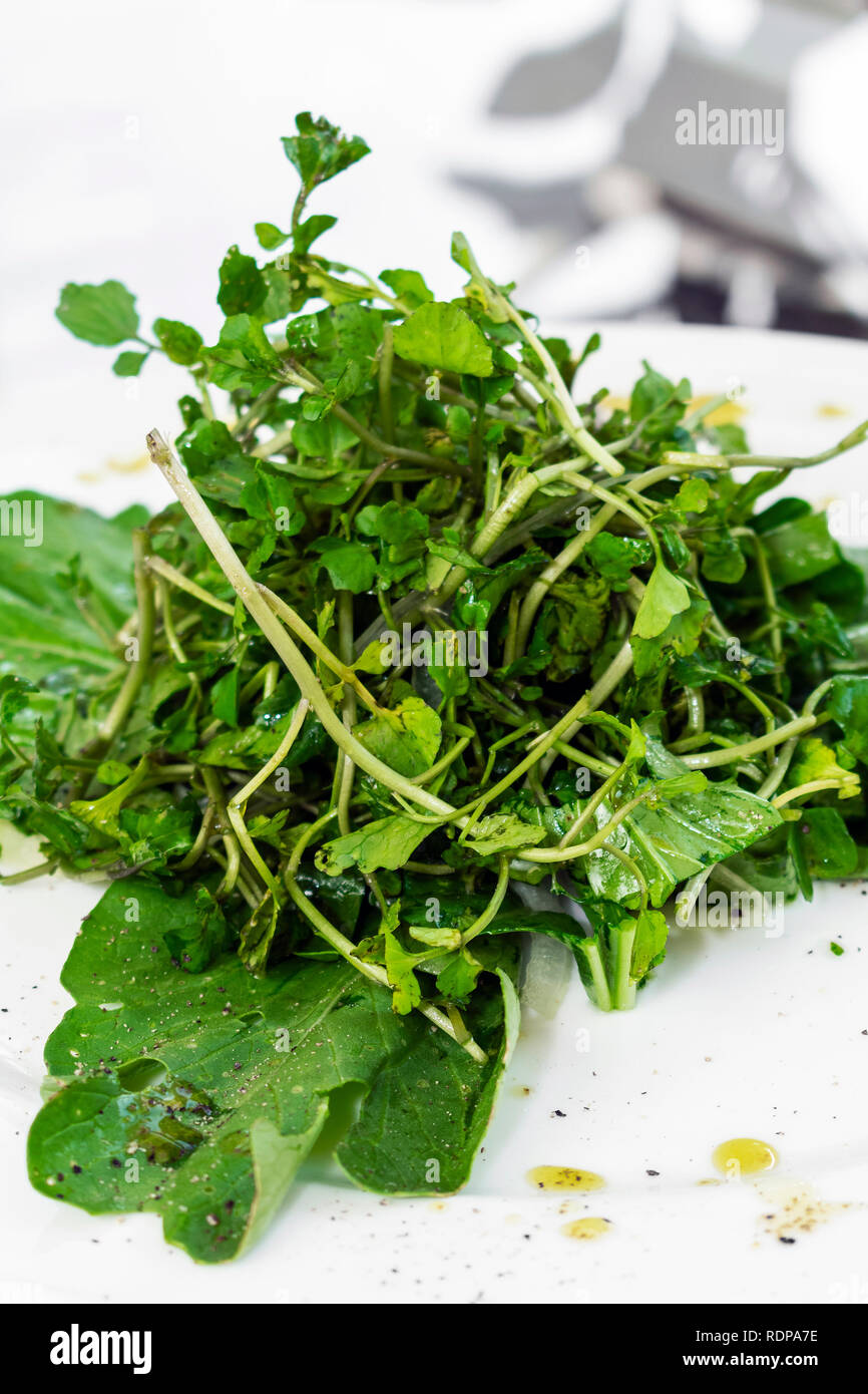 Einfache frische organische Brunnenkresse und Spinat grünes Blatt Salat auf Teller Stockfoto