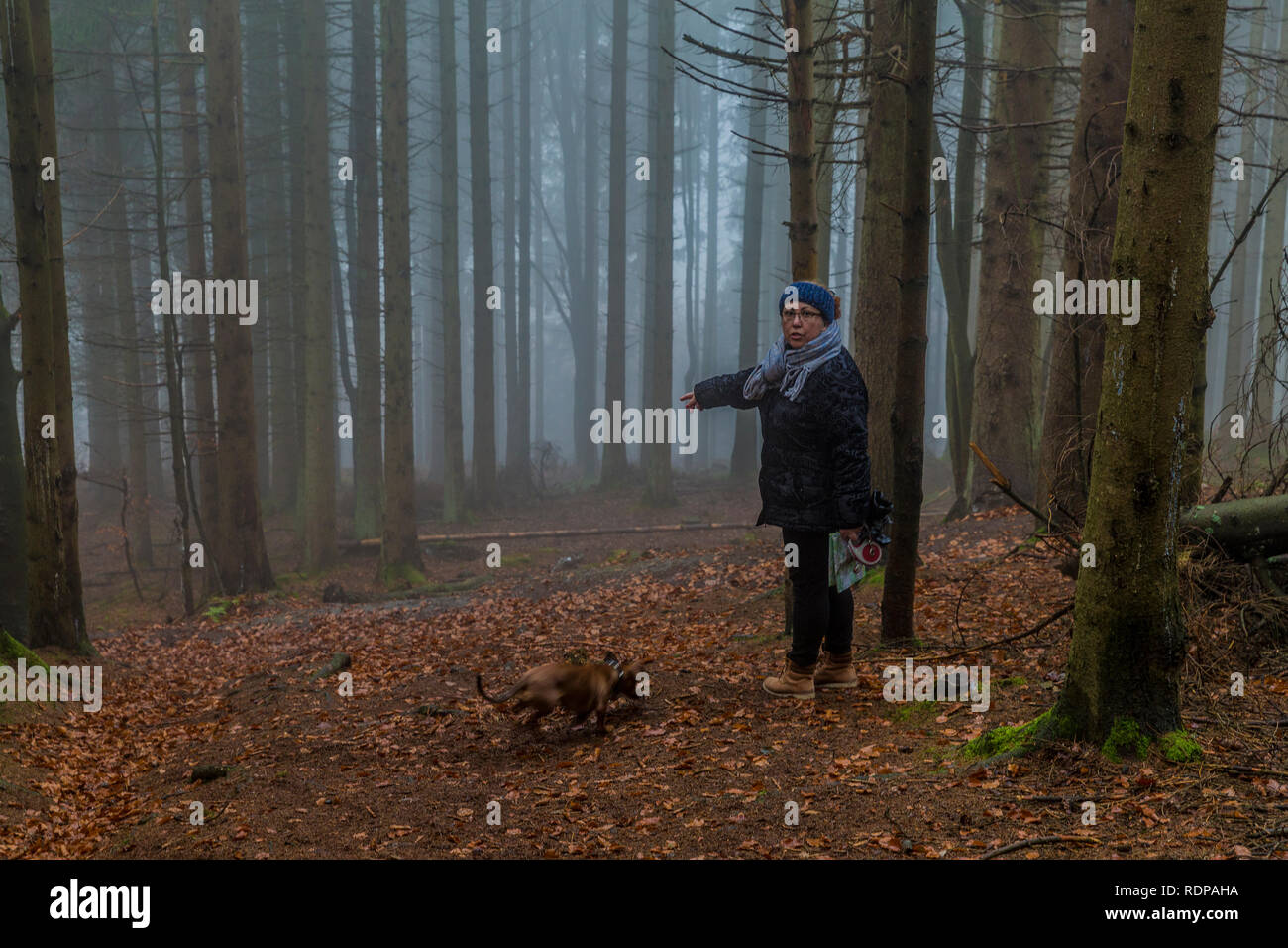 Bild einer Frau gefragt, ob Sie den richtigen Pfad in der Mitte des Waldes mit Nebel an einem kalten Wintermorgen in den Belgischen Ardennen Stockfoto
