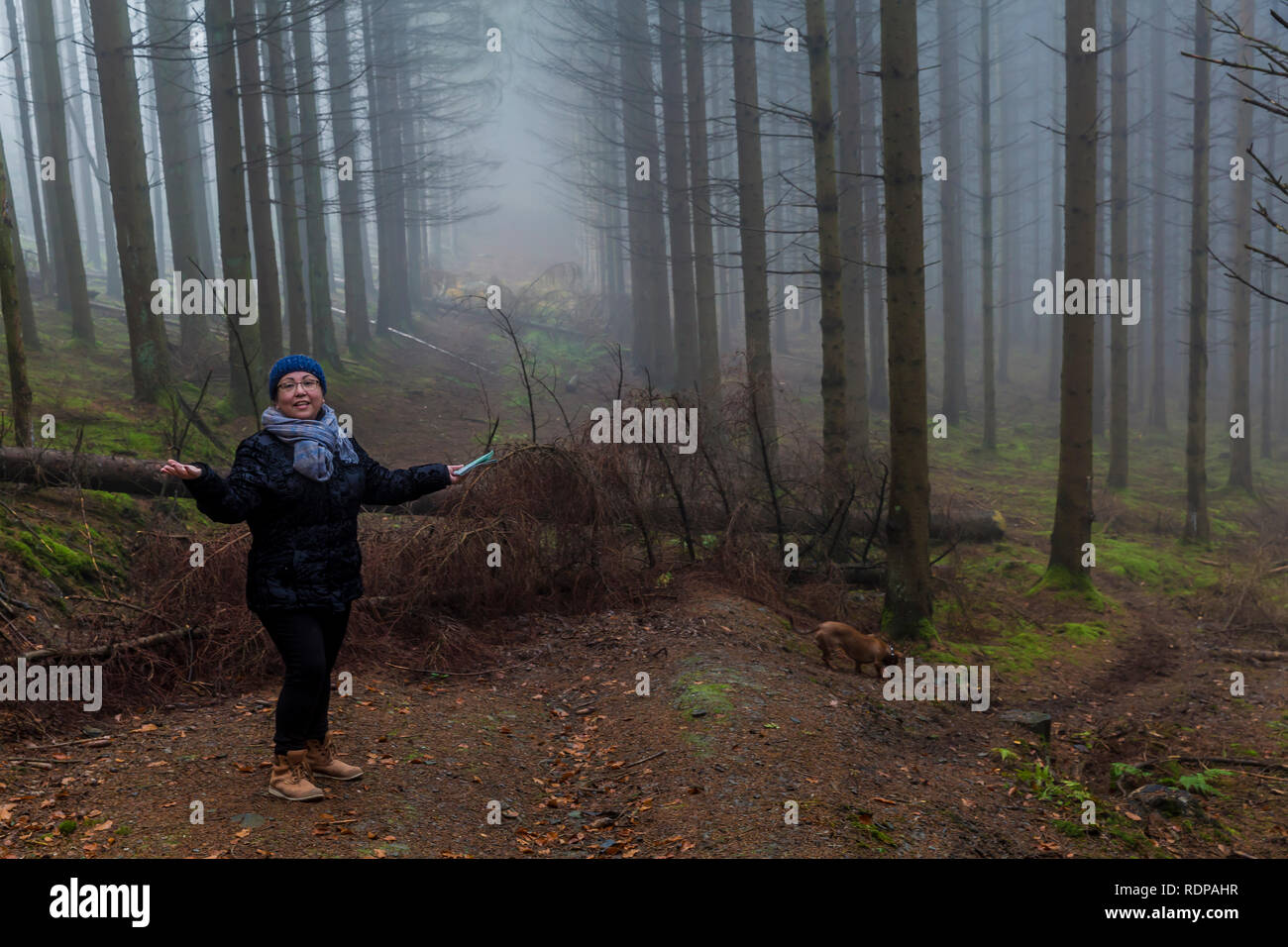 Bild einer Frau stehen und gefragt werden, ob auf einem Pfad durch gefallene Bäume im Wald mit Nebel behindert in den Belgischen Ardennen, um fortzufahren Stockfoto