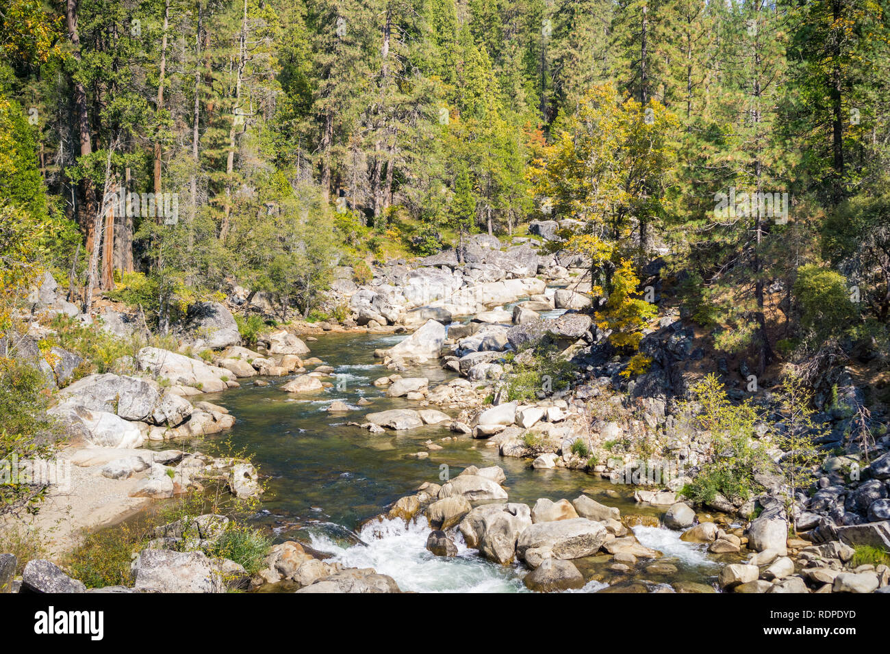 Stanislau Fluss, Calaveras große Bäume State Park, Kalifornien Stockfoto