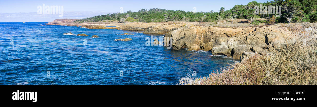 Die robuste Pazifik Küste, Point Lobos State Naturpark, Carmel-by-the-Sea, Monterey Halbinsel, Kalifornien Stockfoto