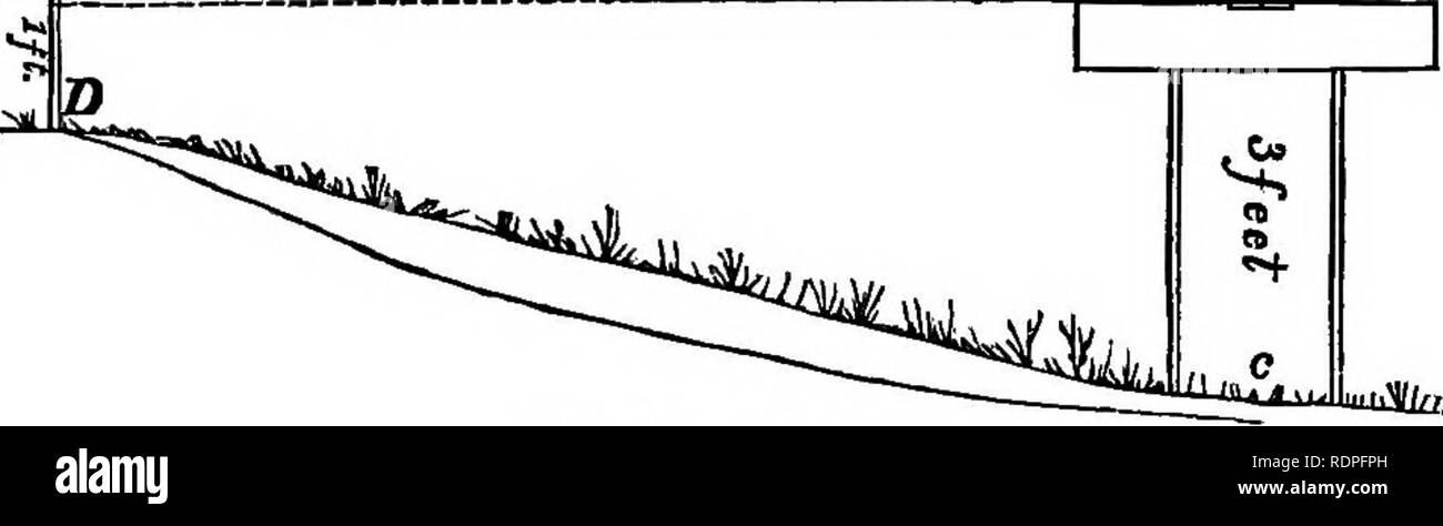 . Cranberry Kultur. Preiselbeeren. 66 CBAinSBEET CULTUBB. Wiese, auf abgehangen werden kann, ist eine konstruierte sauberer Sand, frei von Wurzeln, oder Stücke von Rasen und baute auf der soliden Sand oder Lehm, wie der Fall sein kann. Wenn Sie einen Damm über eine Wiese con zu bauen - das Muck sechs Meter in die Tiefe, graben Sie eine Straße ist komplett durch den Dreck, und legen Sie die Mutter auf eine sichere Grundlage, oder es wird die Prüfung nicht stand. Vor Beginn der Damm, erfahren Sie, wo Sie ihn haben wollen, und dann, wie groß die Flut wird es erfordern. Seine Lokalität muss von den Umständen abhängen; die Abmessungen auf der Höhe von Wat Stockfoto