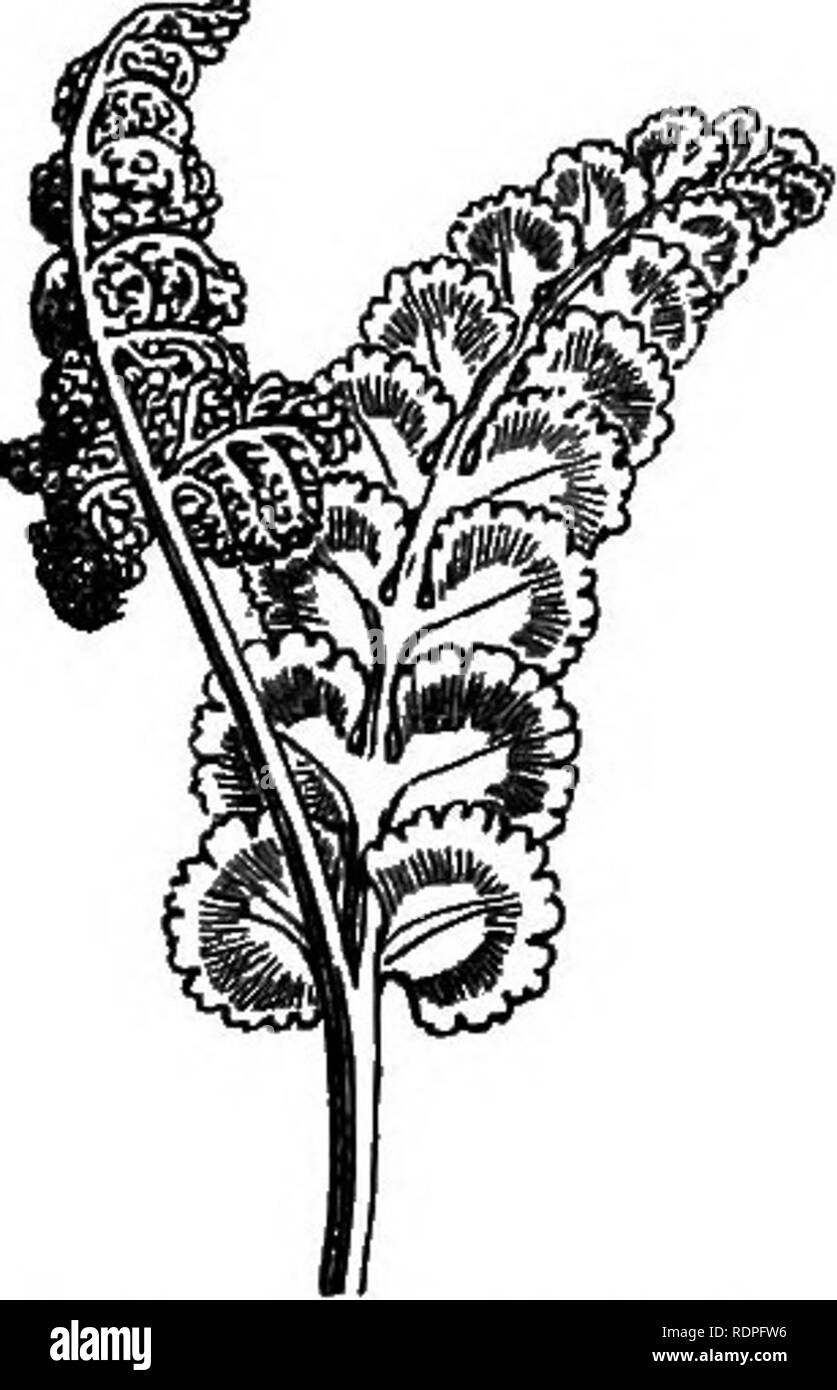 Abhange Ausgeschnittene Stockfotos Und Bilder Alamy