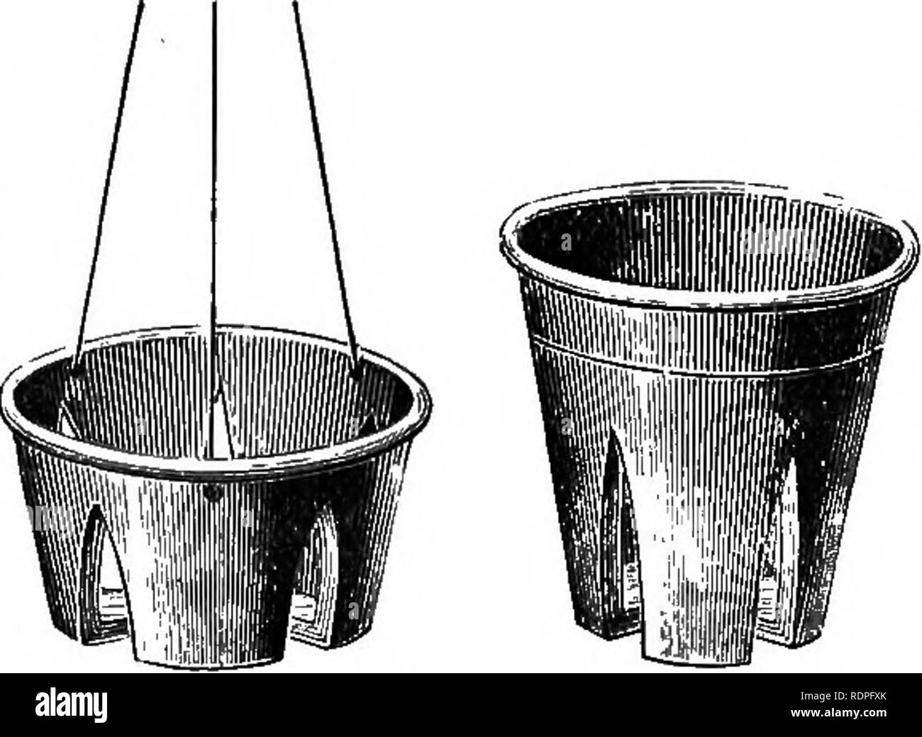 . Die Orchidee - Handbuch des Erzeugers, mit Beschreibungen der besten Arten und Sorten von knabenkrautgewächse in Anbau... Orchideen. - Eine große Auswahl an ORCHIDEENTÖPFE IMMER AUF LAGER. Berkeley Orchideentöpfe. Das Berkeley Orchid Töpfe und Pfannen sind die neuesten Neuheit, und hoch von allen Gärtnern gesprochen. Diese verbesserte Orchid Pot ist die Erfindung der Majdr-General Emekic S. Bebkeley, Bitterne, Southampton.. Registriert. Zur Aussetzung der PAN. Vorsicht. âA wertvollen Orchidee ist würdig für einen guten Topf. Vorsicht vor billige Nachahmungen, die wertlos sind. Gärtner NICHT BESSER ALS ABER VON CONWAY G. WARNE, lt Stockfoto