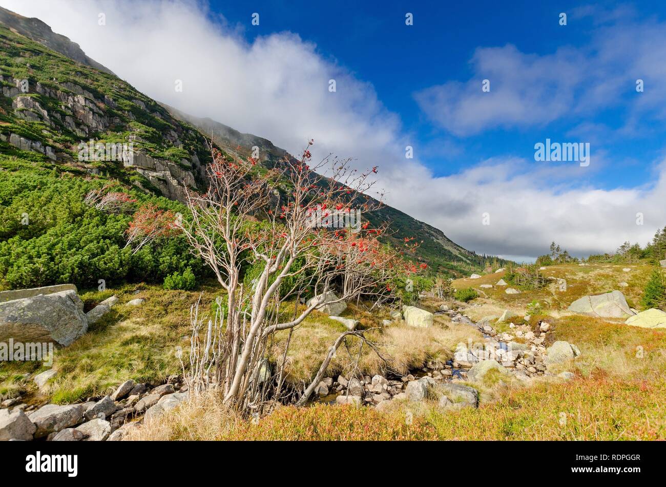 Karkonosze riesengebirge bergkette polen Fotos und Bildmaterial in