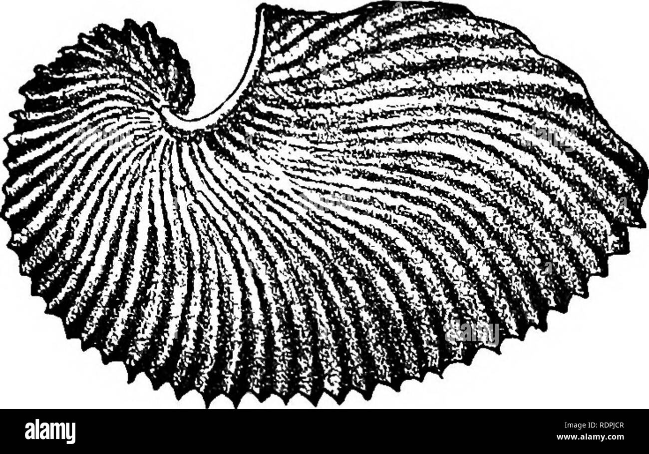 Sehr Nah Schwimmen Stockfotos Und Bilder Kaufen Alamy