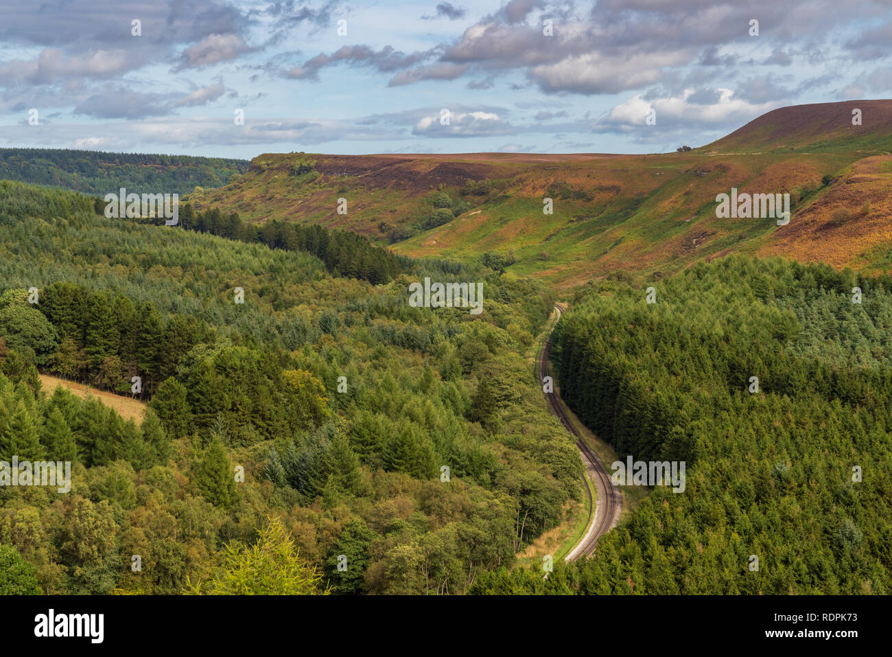 North York Moors Landschaft in Newtondale, aus dem Moor Levisham, North Yorkshire, England, UK gesehen Stockfoto