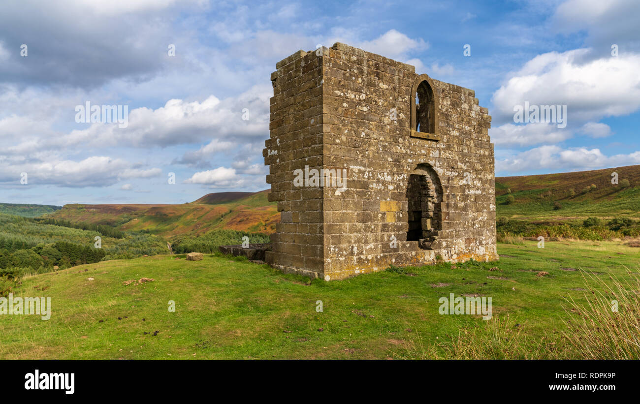 North York Moors Landschaft, bei Skelton Turm, aus dem Moor Levisham, North Yorkshire, England, UK gesehen suchen Stockfoto