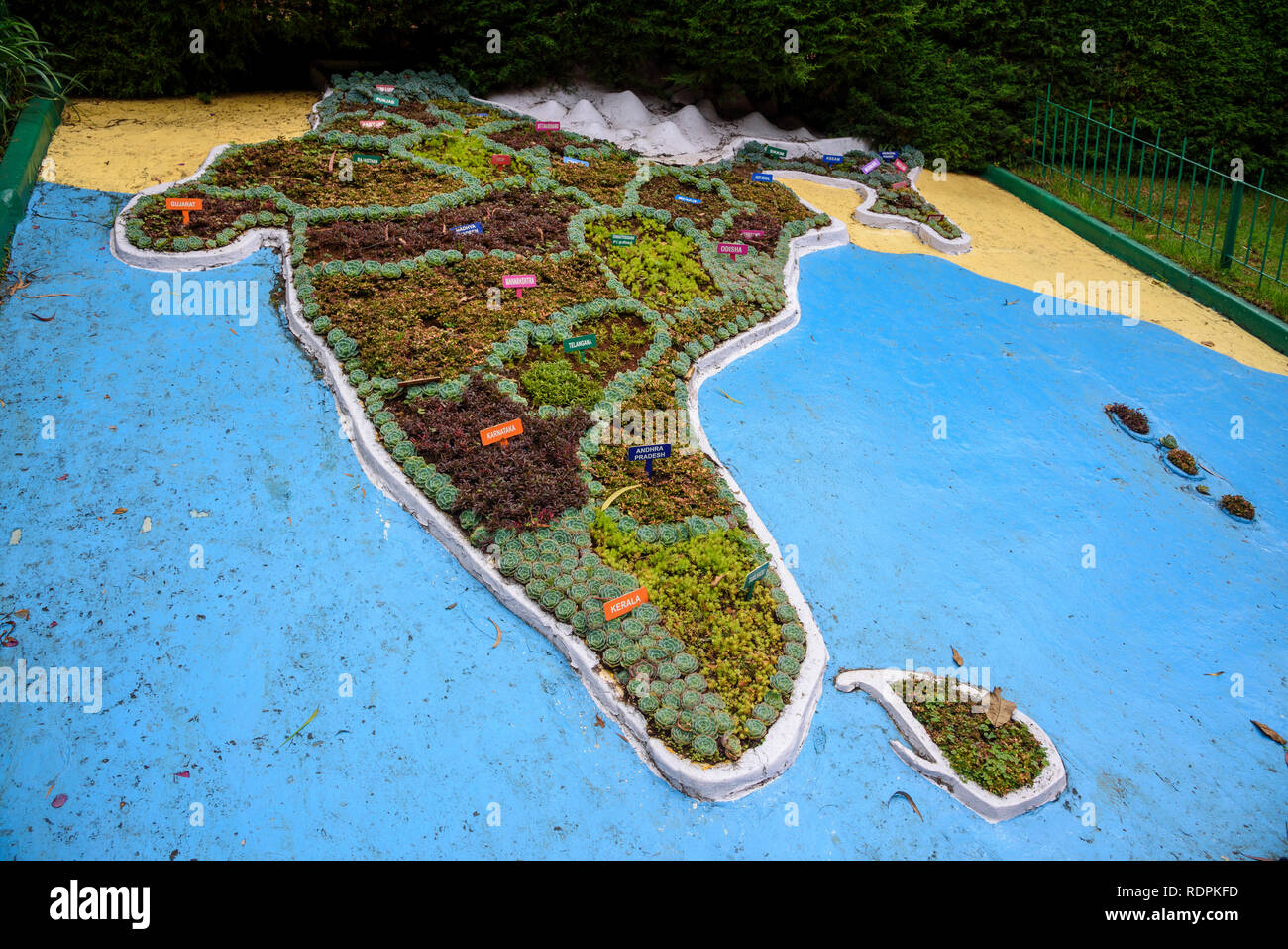 Botanische Gärten, Ooty, Nilgiri Hills, Tamil Nadu, Indien Stockfoto