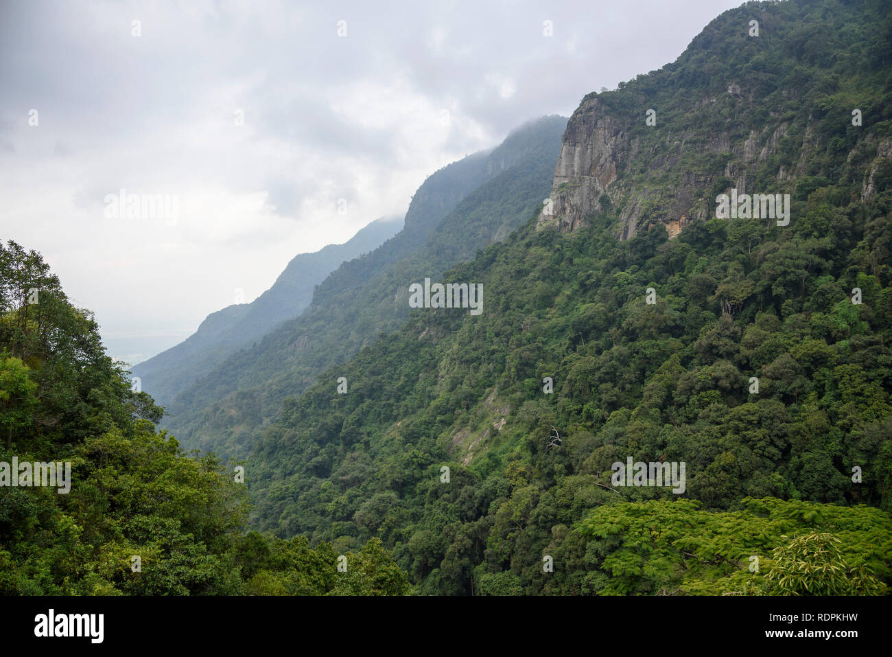 Nilgiri Hills, Blick von der Nilgiri Mountain Railway, zwischen Ooty und Mettupalayam, Tamil Nadu, Indien Stockfoto