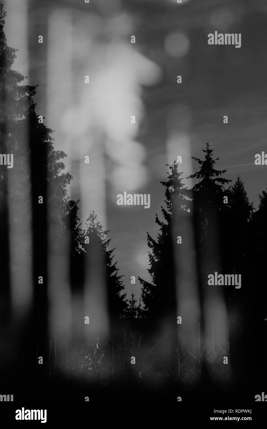 Mystische Art der Wald Landschaften Stockfoto
