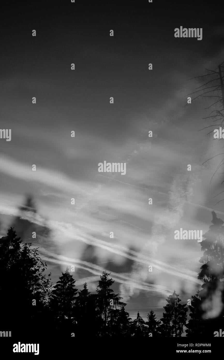 Mystische Art der Wald Landschaften Stockfoto