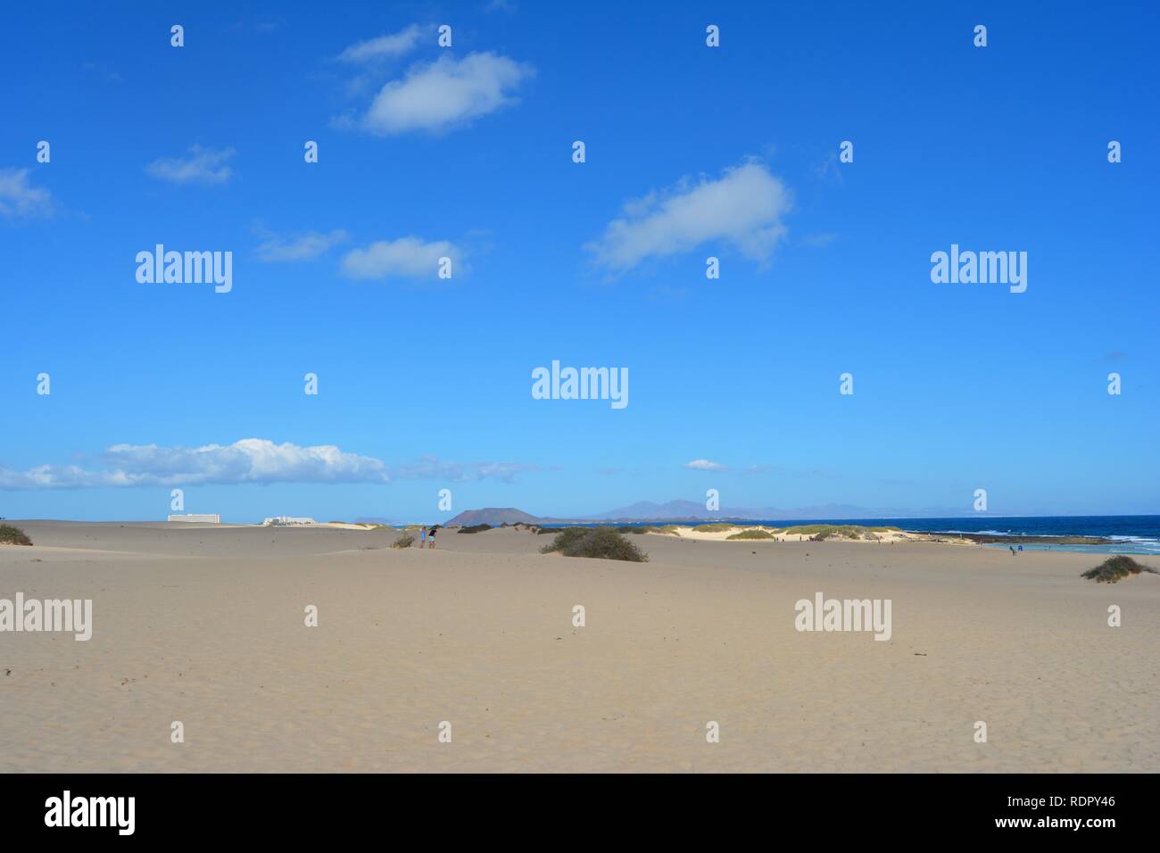 Die goldenen Dünen des Naturparks an der Küste von Corralejo. Fuerteventura, Spanien. Stockfoto