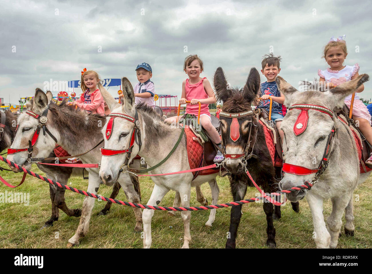 Glückliche Kinder auf Eselreiten. Stockfoto