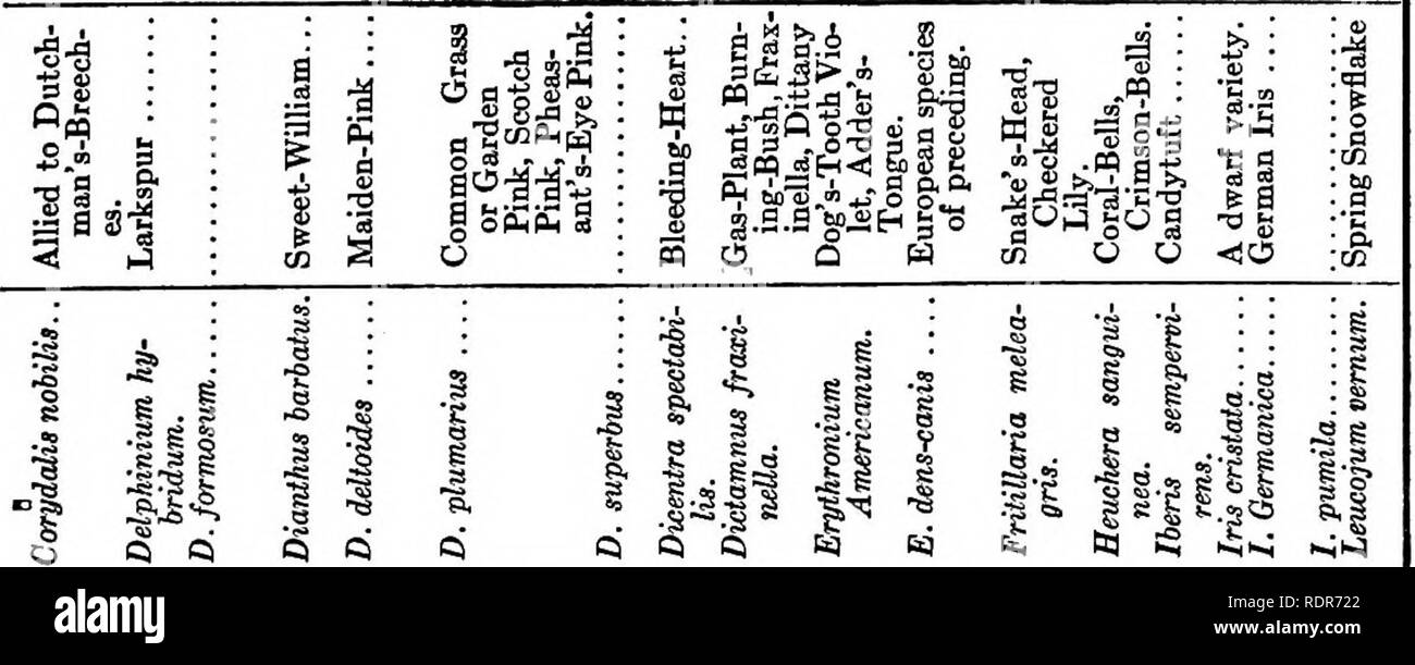 . Die freudige Gartenkunst; ein Buch über Erste Hilfe zu den Bewunderer. Im Garten arbeiten. §. ^ Eine .3 Bo ich ein '1 • S^p? II 3m-fi-d" "§ • a il = 3 • 2 W^j Pm o J 1 1 1 i1: ^1^^ feh • a-s S T3 SS F s .2 â Â°s1 z.b. CO cc XSi ^ a a a t. Leichte Böden Licht, Soi] Reich, ich 3 3 3 3 CO CD COCO • g • E - "Al ot 3 .9 &Amp; i^S ich T12 Â" CoS-OP - Eine ea .3 a^4 4&gt; O S-S-d. Â"'Â° BS O y g: St* Ph^2 T 2 1 S 3 i 4. J.! O el Â" e^. 211. Bitte beachten Sie, dass diese Bilder extrahiert werden aus der gescannten Seite Bilder, die digital für die Lesbarkeit verbessert haben mögen - Färbung und das Aussehen von THESS Stockfoto