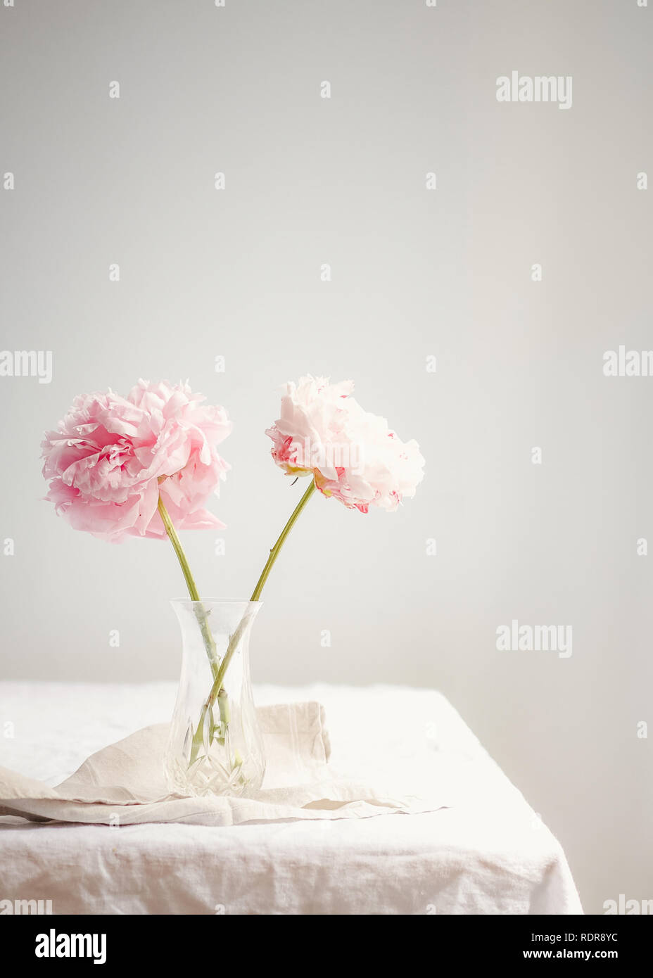 Zwei rosa Pfingstrosen in voller Blüte, auf der ein Leinen Tischdecke in einem Kristall bud Vase Stockfoto