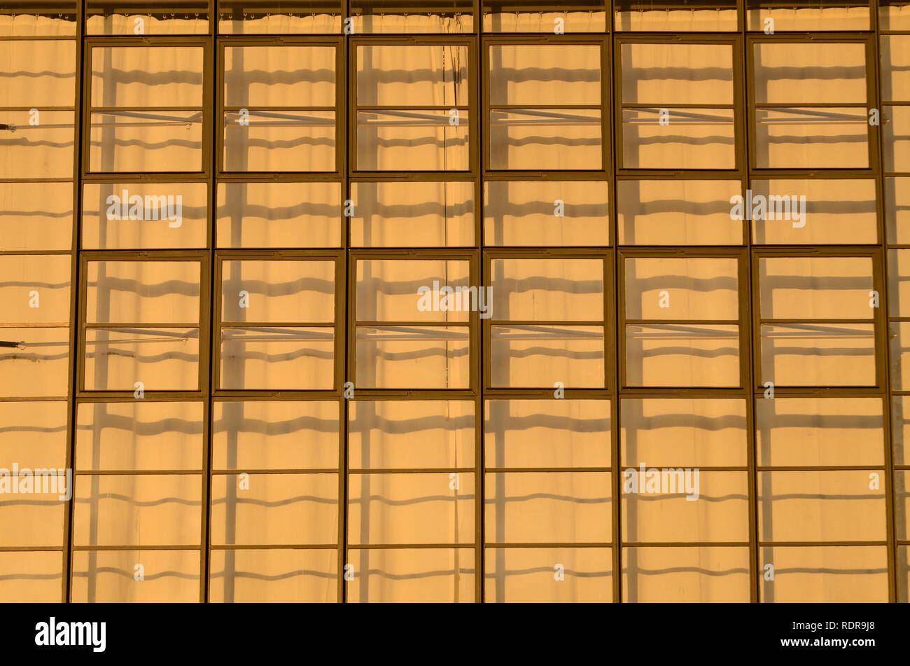 Deutschland, Dessau - Rosslau, berühmten Bauhaus, erbaut 1925-1926 nach der  Planung von Walter Gropius als Gebäude für das Bauhaus für Architektur,  Kunst und Design, quadratische Fenster und Gardinen Stockfotografie - Alamy