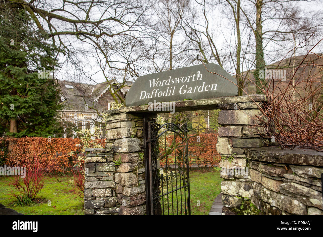 Wordsworth Narzissen Garten in Grasmere Stadtzentrum, Nationalpark Lake District, Cumbria, England Stockfoto