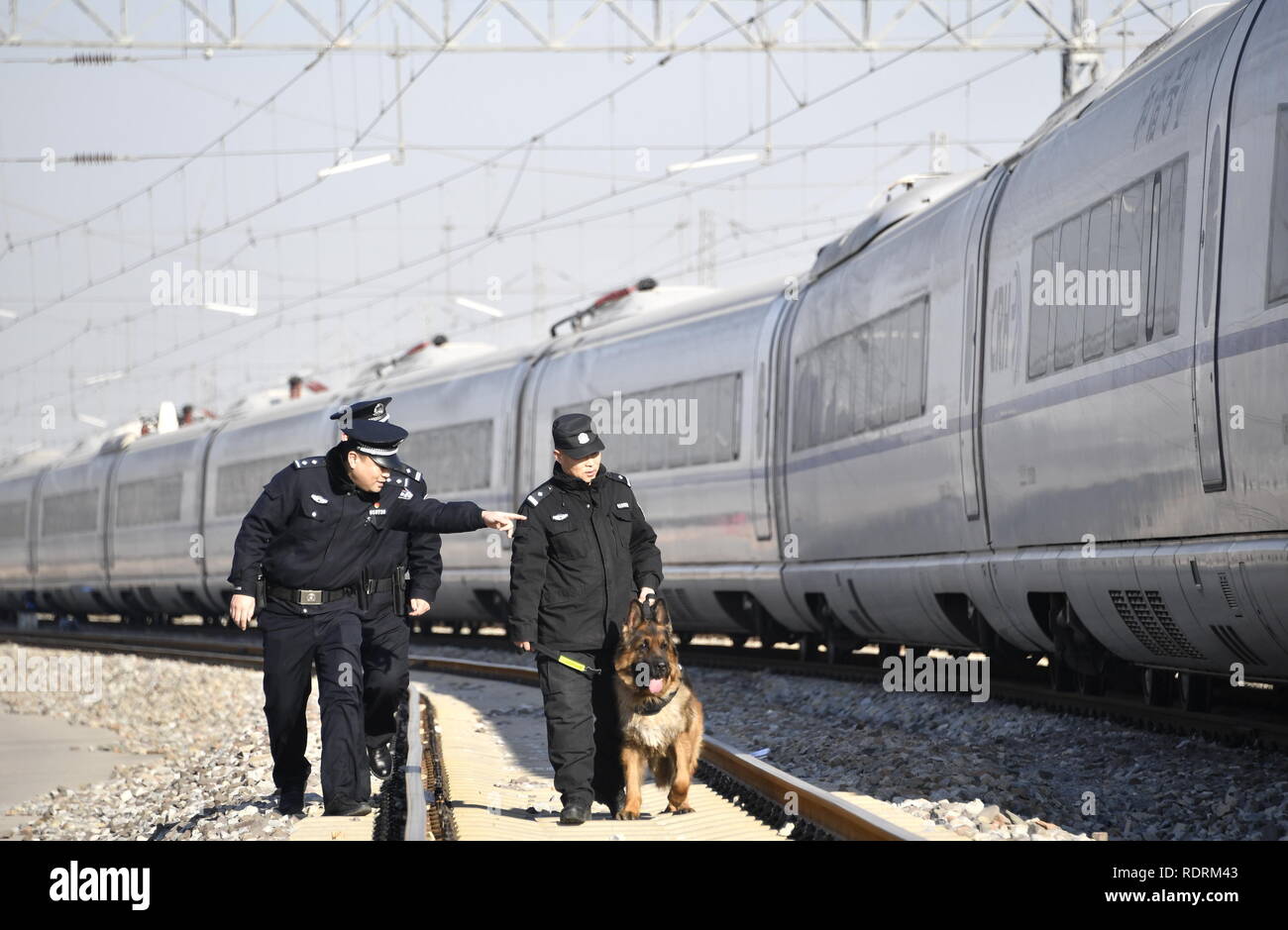 Peking, China. Jan, 2019 19. Eisenbahn Polizisten patrouillieren mit einem polizeihund in der Maintenance Station Sicherheit für den kommenden Frühling Festival reisen Rush in Peking, der Hauptstadt von China zu gewährleisten, Jan. 19, 2019. Credit: Li Xin/Xinhua/Alamy leben Nachrichten Stockfoto