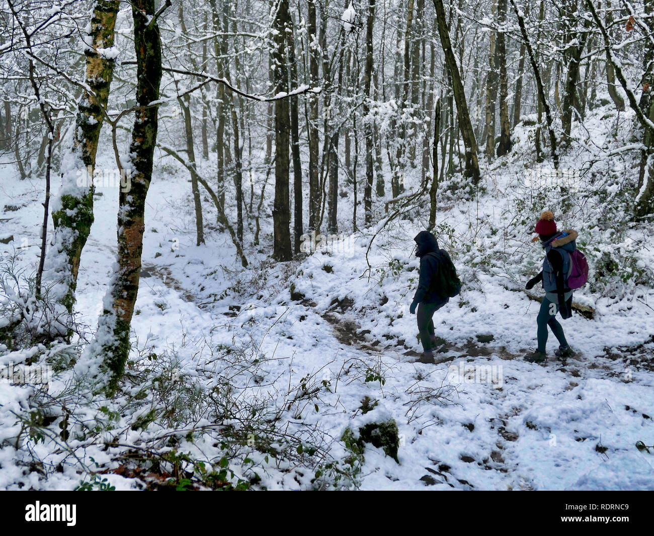 Cromford Black Rocks Derbyshire Stockfotos Und Bilder Kaufen Alamy