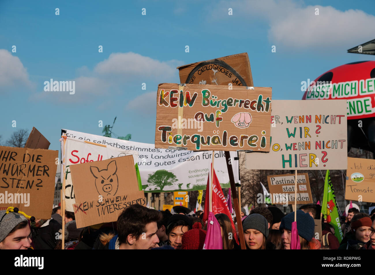 Berlin, Deutschland - Januar 19, 2019: Demonstration "Wir haben es satt", gegen die deutsche und die EU-Agrarpolitik und für eine nachhaltige Landwirtschaft in Berlin Credit: hanohiki/Alamy Live News Credit: hanohiki/Alamy leben Nachrichten Stockfoto