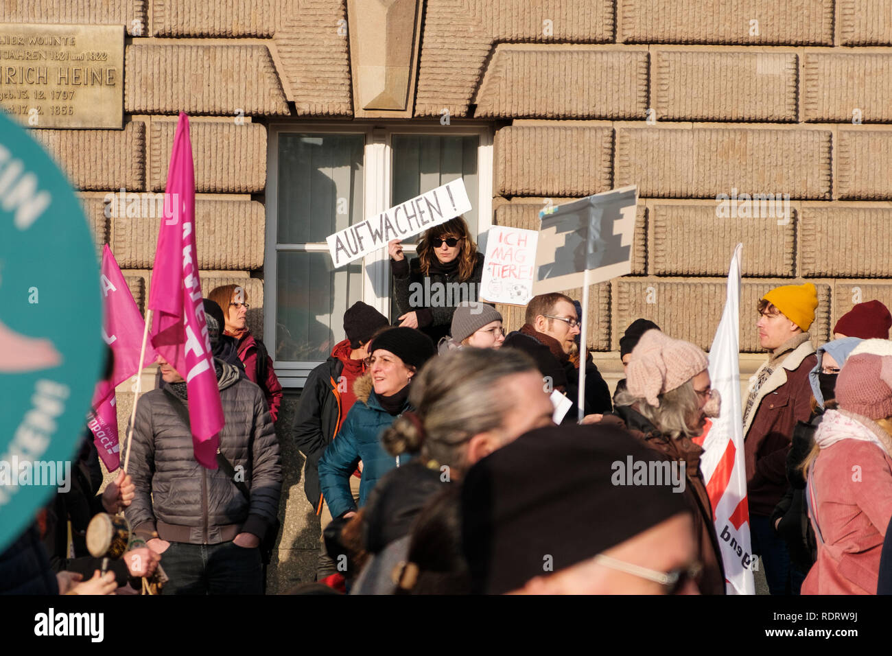 Berlin, Deutschland - Januar 19, 2019: Demonstration "Wir haben es satt", gegen die deutsche und die EU-Agrarpolitik und für eine nachhaltige Landwirtschaft in Berlin Credit: hanohiki/Alamy leben Nachrichten Stockfoto