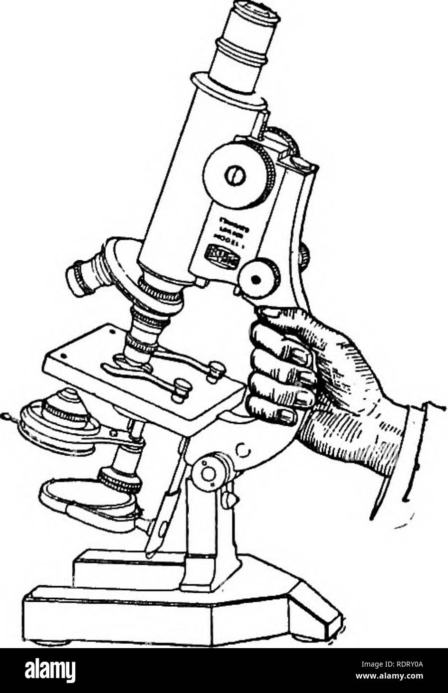 Das Mikroskop; ein einfaches Handbuch. Mikroskope. 94 DAS MIKROSKOP. Umb.  und mttst arbeiten mit einer gleichmäßigen Bewegung, mit der das  empfindlichste Einstellung für konzentrieren. Die grobe Einstellung sollte  in der Lage