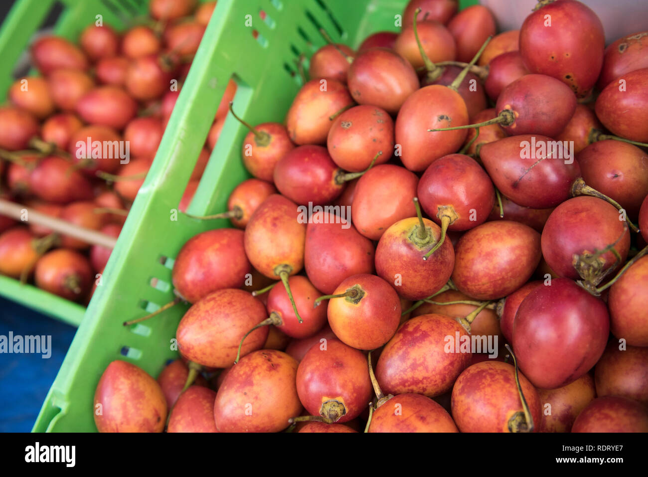 Anzeige von roten tamarillo Obst aus der Rückseite eines van entlang der Straße in Awanui in der Region Northland Neuseeland verkauft wird. Stockfoto