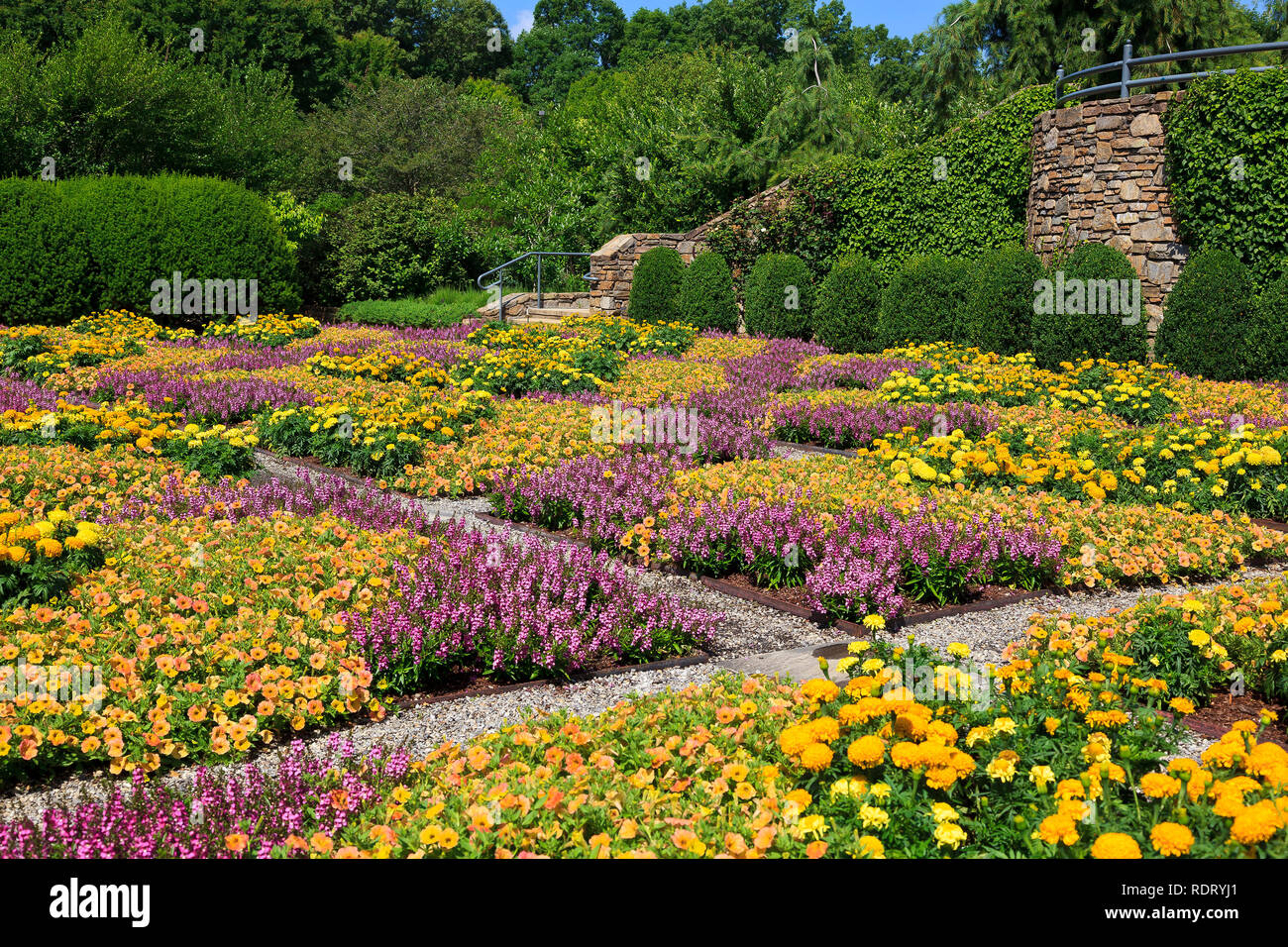 Gemusterte Decke Garten in Asheville North Carolina Stockfoto