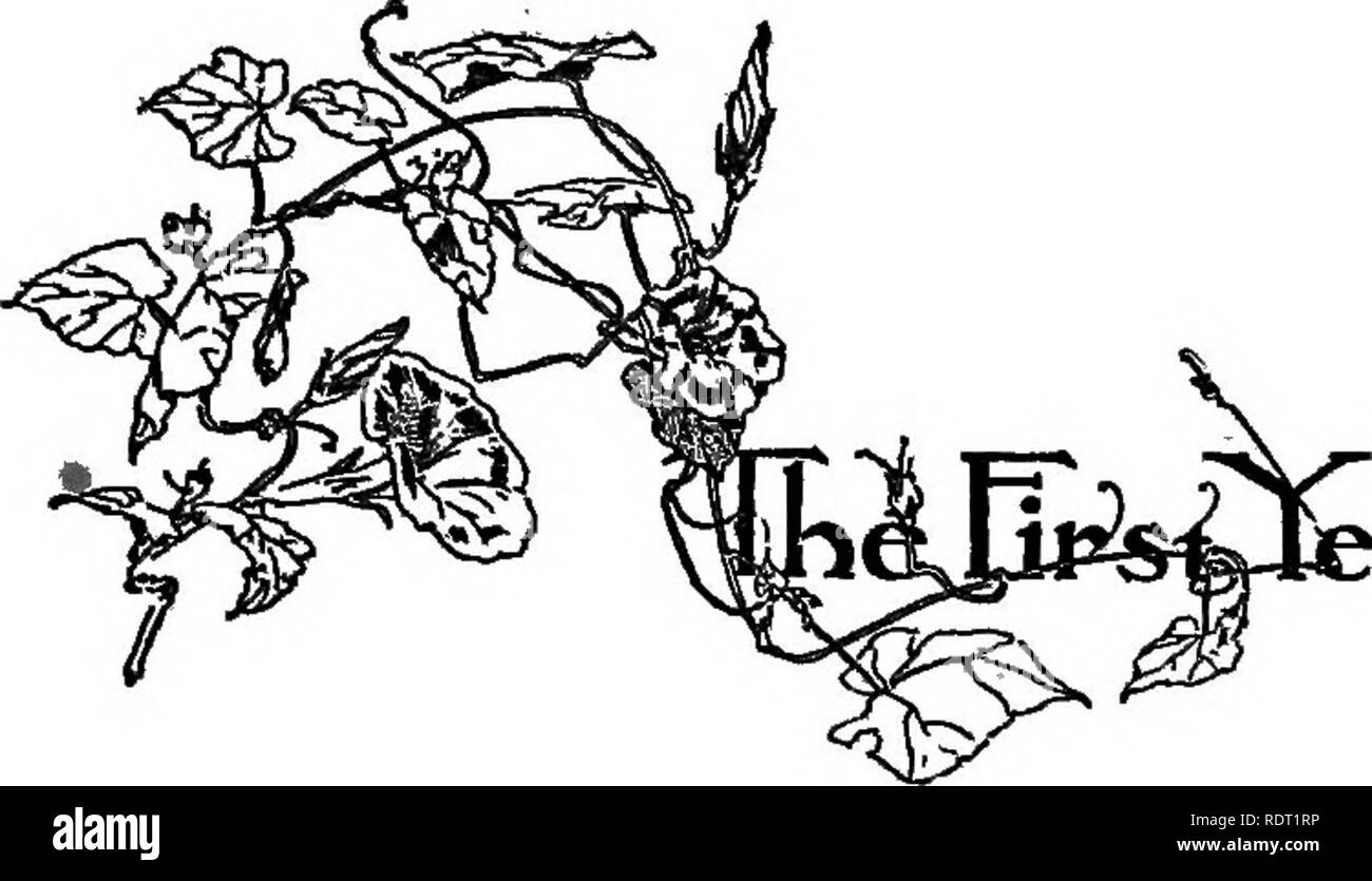 . Lassen Sie uns einen Blumengarten. Blumenzucht. wr-^/^ NOA, zwei Menschen, die waren sehr ^-^ Welt - fagged, kamen zu ihren Sinnen und erkannte, dass die Heilung für die Krankheit über das Klirren der Ketten legen, der Anblick von Wolkenkratzern und das Surren des erhöhten Züge. Ihre scheinbare Streit mit Leben war wirklich nur Hunger für den Song von Wildvögeln, die Nähe der großen Felder der Weide, die Freundschaft von Hügeln, der Anblick eines Baches brechen Eis Hindernisse im Frühjahr, die Artillerie der Wald Gliedmaßen aufschnappen im eisigen Griff, ein Brüllen von Rindern zur Abendzeit, das Winkelstück mit Simpl Stockfoto