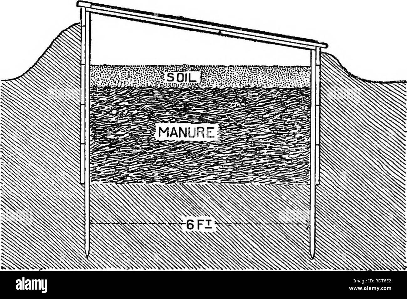 . Der Garten Buch, eine populäre Abhandlung über den Anbau von Gemüse unter Home- und Marktbedingungen. Mit präzise und verlässliche Informationen über die Anpflanzung, Kultivierung, Sprühen, Ernte und Vermarktung der gemeinsamen Garten Gemüse in einer Weise, die das größte Maß an Zufriedenheit, Freude und Gewinn zu sichern. Gemüseanbau. 92 Die Zeit der Reife und stark erhöhen die Arten und Sorten angebaut. Im Herbst des Jahres Sie können auch verwendet werden, um die Jahreszeit mit frischem Gemüse bis zu fast die Saison zu verlängern. Die brutstätte, wie der Name schon sagt, an Stockfoto