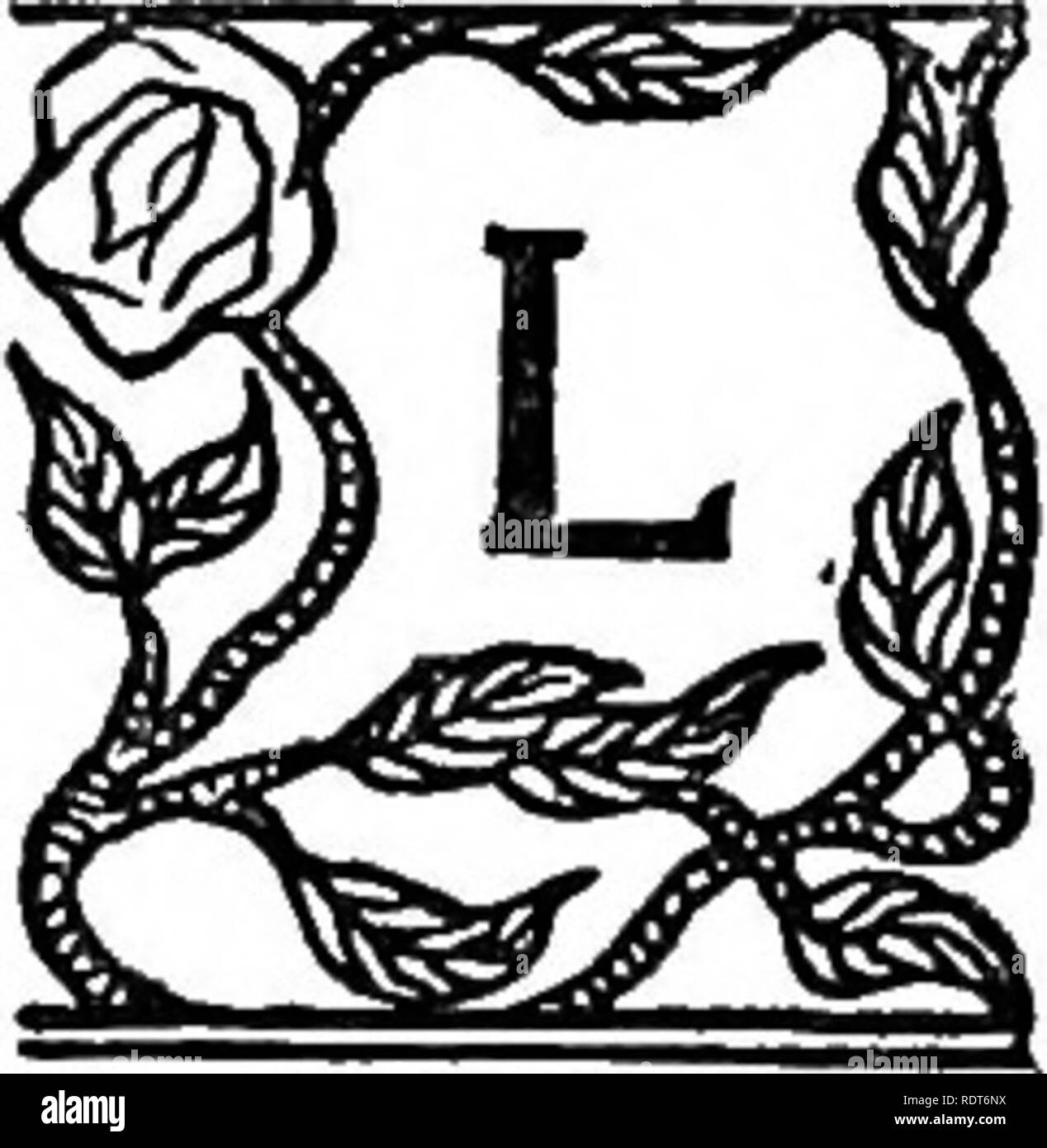 . Der Garten Buch von Kalifornien. Gartenarbeit; Garten. Palmen und tropischen Pflanzen. INN./EGS bezieht sich immer auf die Palmen wie die Könige oder Fürsten des pflanzlichen Lebens. Ich kann Frage die Fitness der Begriff. Superior für die kleinen Dinge des Feldes, anmutig, gnädig, und manchmal wirklich herrlich, es scheint, als wenn die Palm-tree könnte nie durch widrige Umstände niedergeworfen werden, und wie viele eine alte Linie der Könige, der einzige Weg aus der Welt der letzte Vertreter der Linie zu enthaupten. Die wahre Palmen sind praktisch in zwei große Abschnitte oder Abteilungen geteilt, und für unsere pur Stockfoto