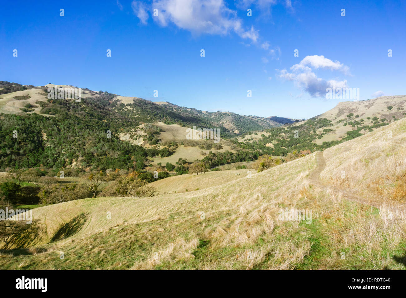 Hügel und Täler in Sunol regionale Wildnis, San Francisco Bay Area, Kalifornien Stockfoto