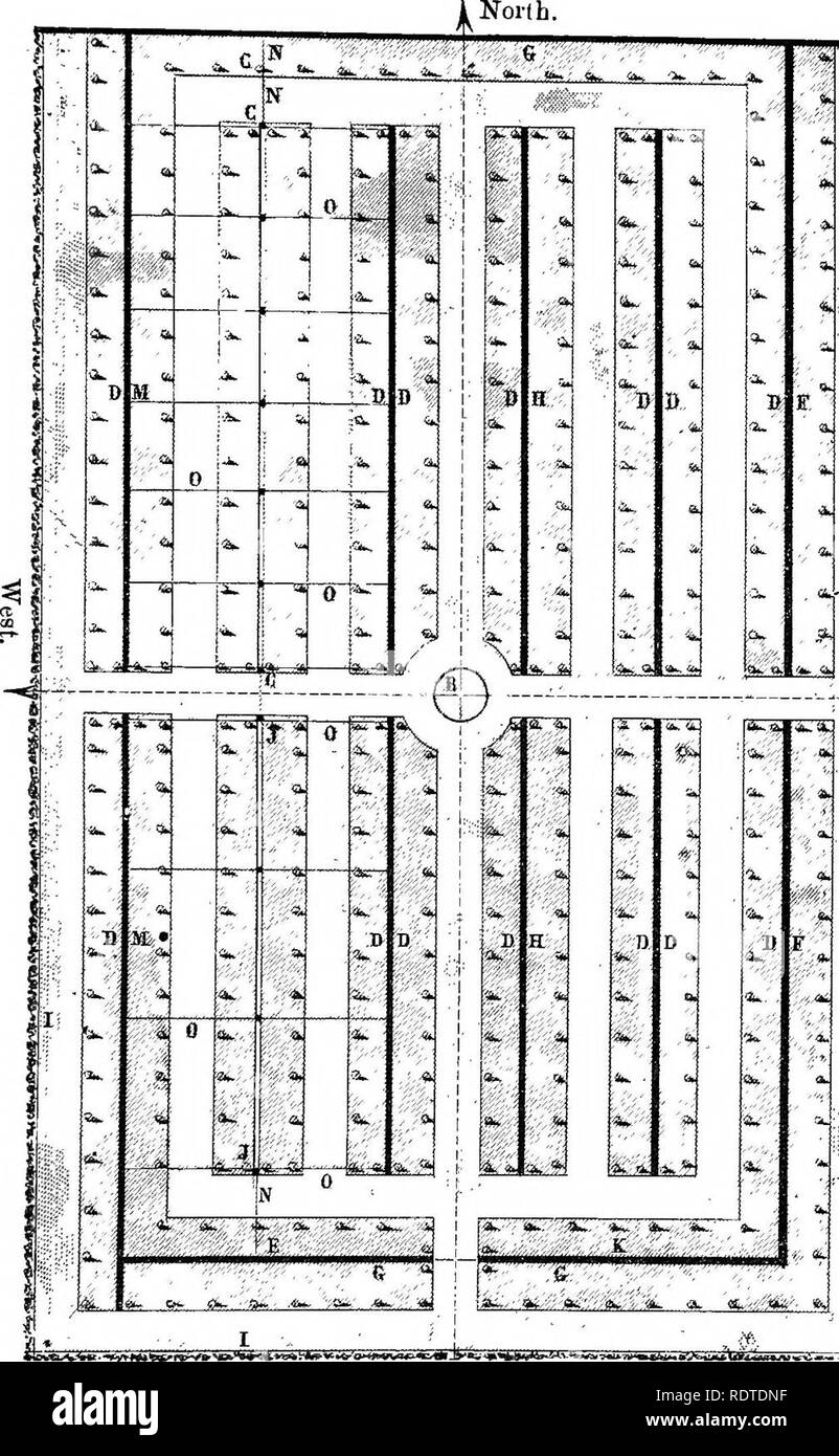 . Die Parks und Gärten von Paris, in bezug auf die Wünsche anderer Städte und der öffentlichen und privaten Gärten angesehen; Hinweise auf eine Studie von Paris. Garten, Gärten und Parks. Kap. XVn. J DIE SCHULE DER PAEIS PKUIT-Kultur. 275 Norden.. -1 1 J Plan einer Frucht - gardeit/oder den Norden von Frankreich (D-u Breuilj. B, Zisterne. C, doppel Spalier für Aprikosen. D, Westseite der Wände mit Schrägen cordon Angst - Bäume, ich 6 Zoll auseinander gepflanzt. E, Stachelbeeren. F, Ostseite der Mauer, bepflanzt mit Pfirsich - Bäume als einfache cordons ich 6 Zoll auseinander. G, Kirschen als schräge cordons, i6 itiches auseinander. H, Plu Stockfoto