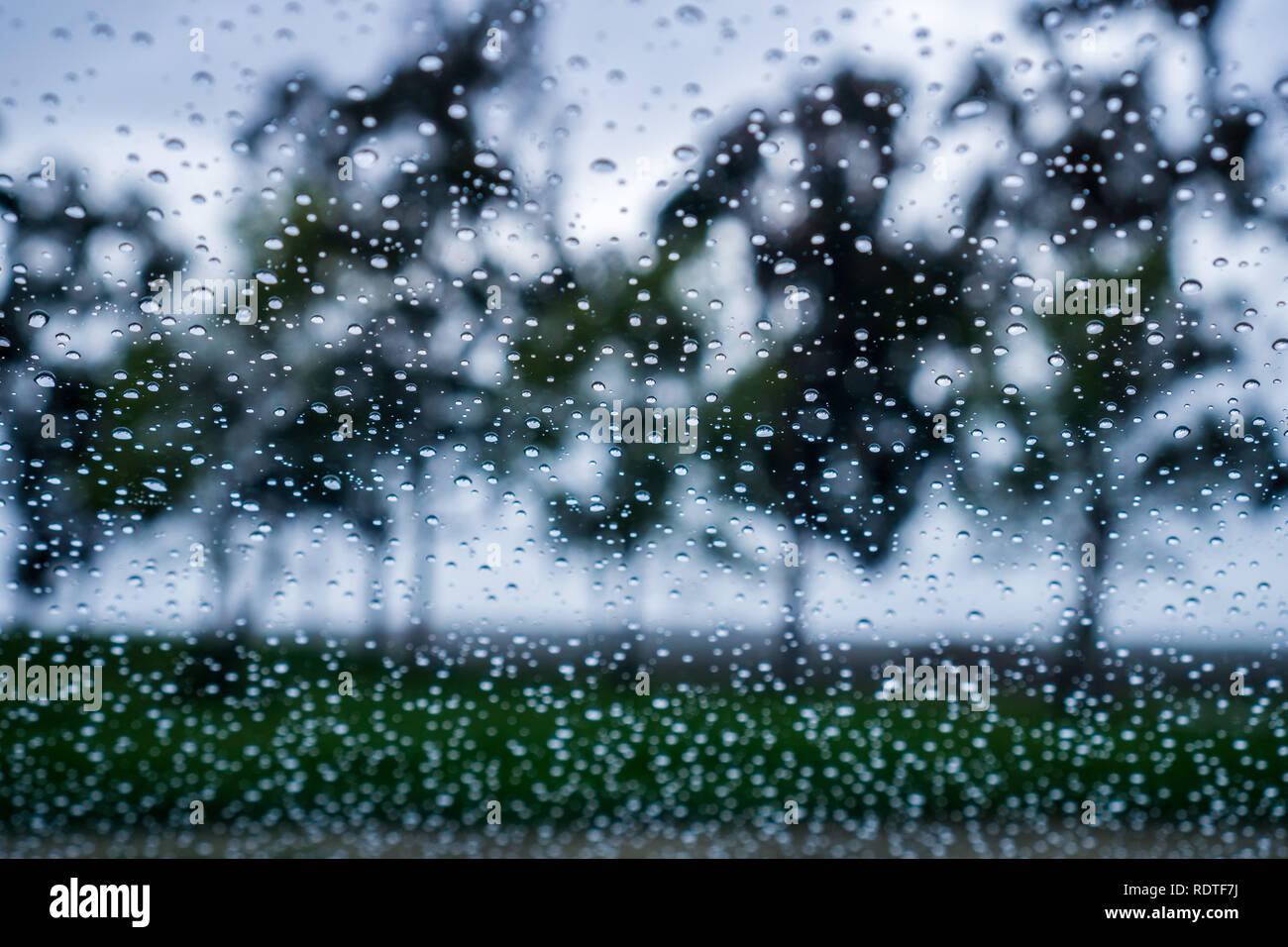 Regentropfen auf dem Fenster, unscharfen Bäume im Hintergrund; Stockfoto