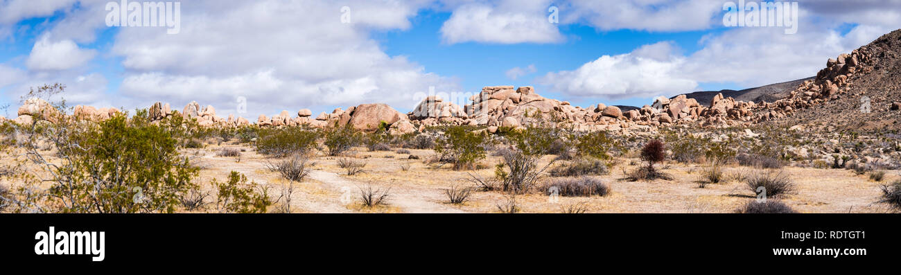 Panoramablick auf einem Felsvorsprung in Joshua Tree National Park, Kalifornien Stockfoto