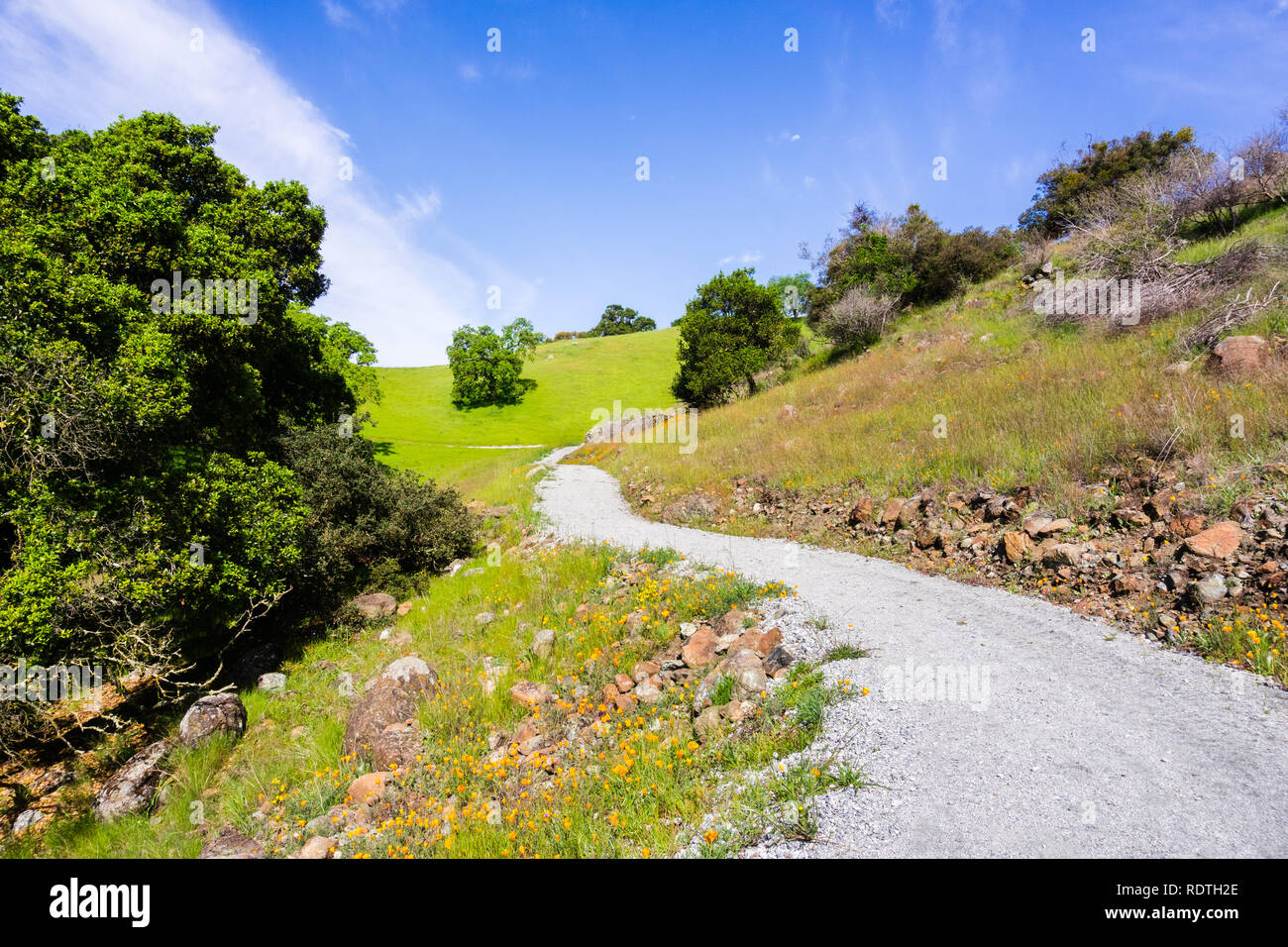 Wanderweg mit Wildblumen gesäumt, Rancho San Vicente offenen Raum bewahren, Teil von calero County Park, Santa Clara County, South San Francisco Bay Stockfoto