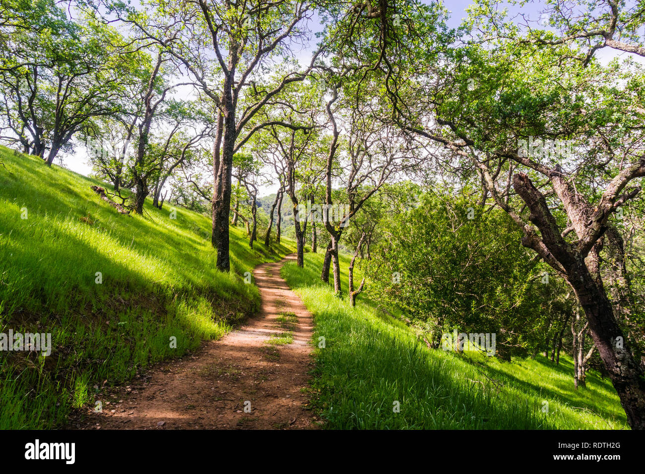 Wanderweg auf den Hügeln des neu eröffneten Rancho San Vicente offenen Raum bewahren, Teil von calero County Park, Santa Clara County, South San Francis Stockfoto