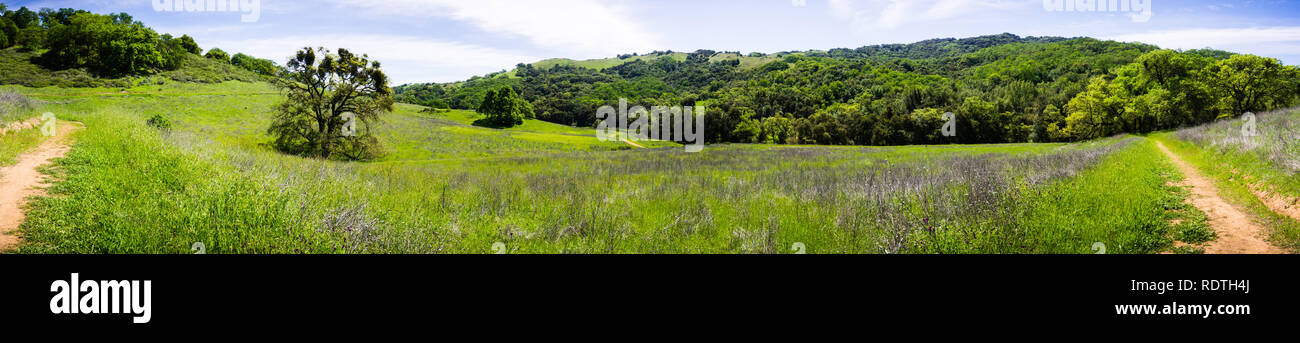 Panoramablick auf Berge und Täler des neu eröffneten Rancho San Vicente offenen Raum bewahren, Teil von calero County Park, Santa Clara County, South Stockfoto