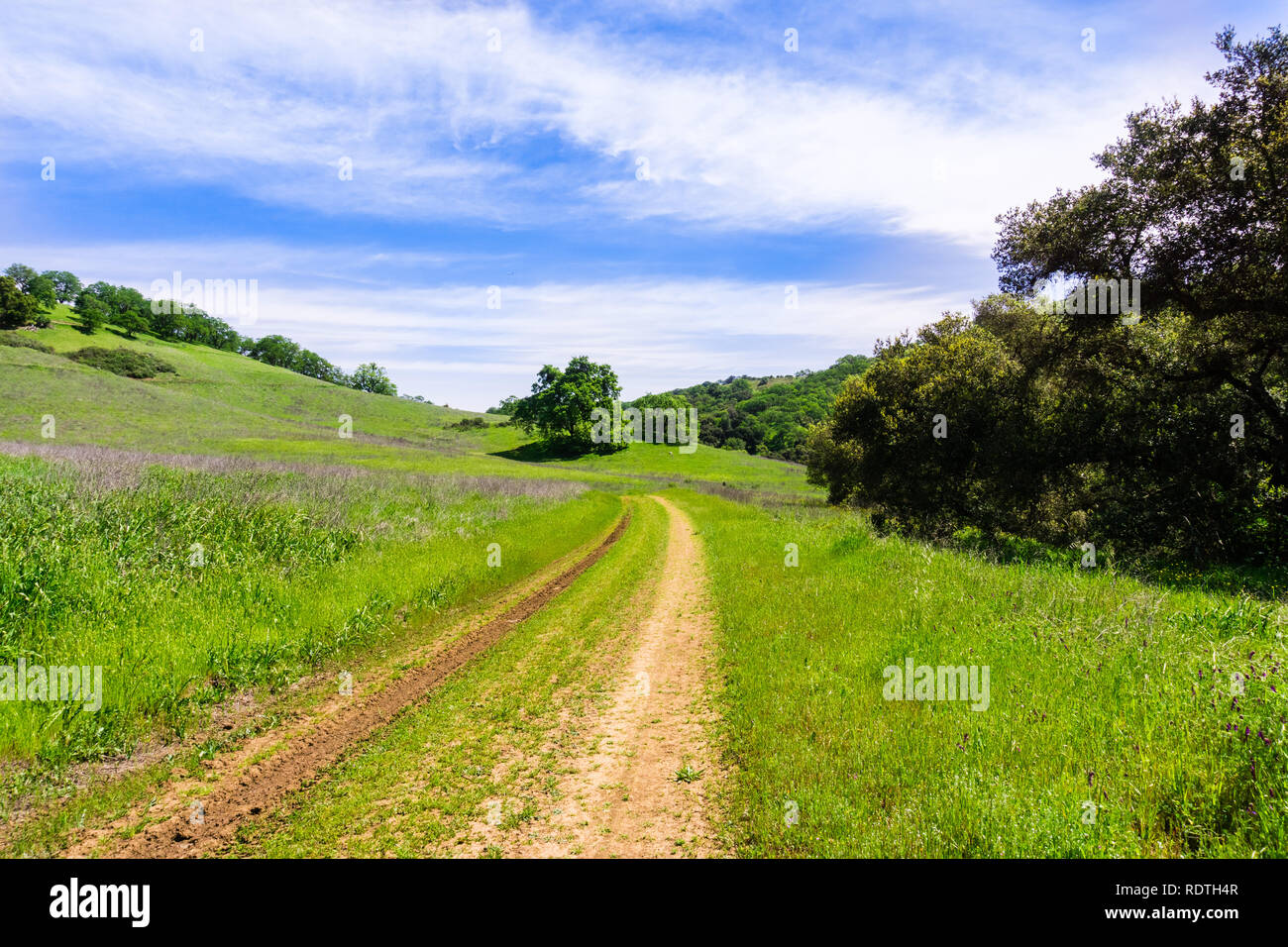 Wanderweg auf den Hügeln des neu eröffneten Rancho San Vicente offenen Raum bewahren, Teil von calero County Park, Santa Clara County, South San Francis Stockfoto