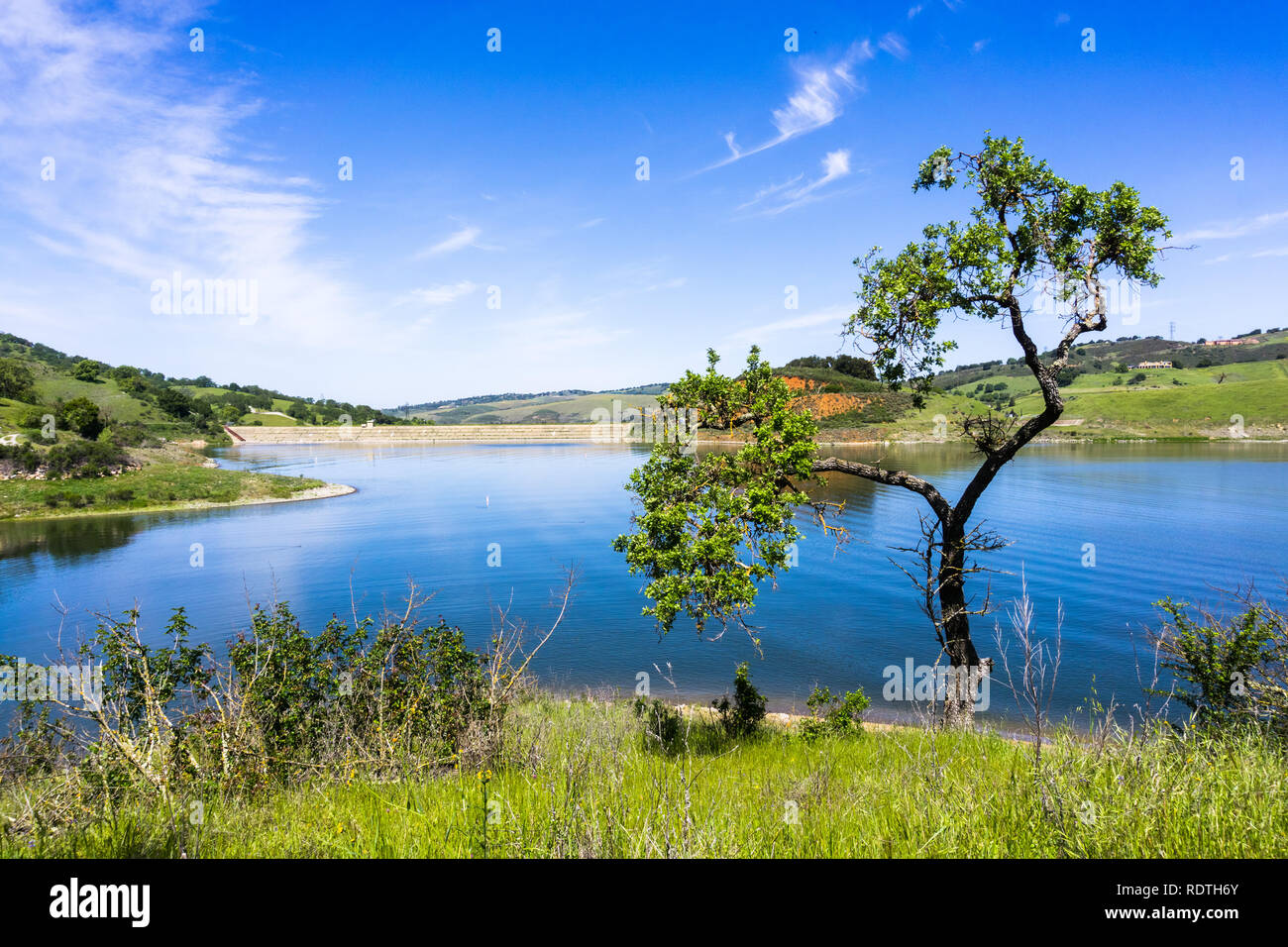 Calero Reservoir an einem sonnigen Frühlingstag, Calero County Park, Santa Clara County, South San Francisco Bay Area, Kalifornien Stockfoto