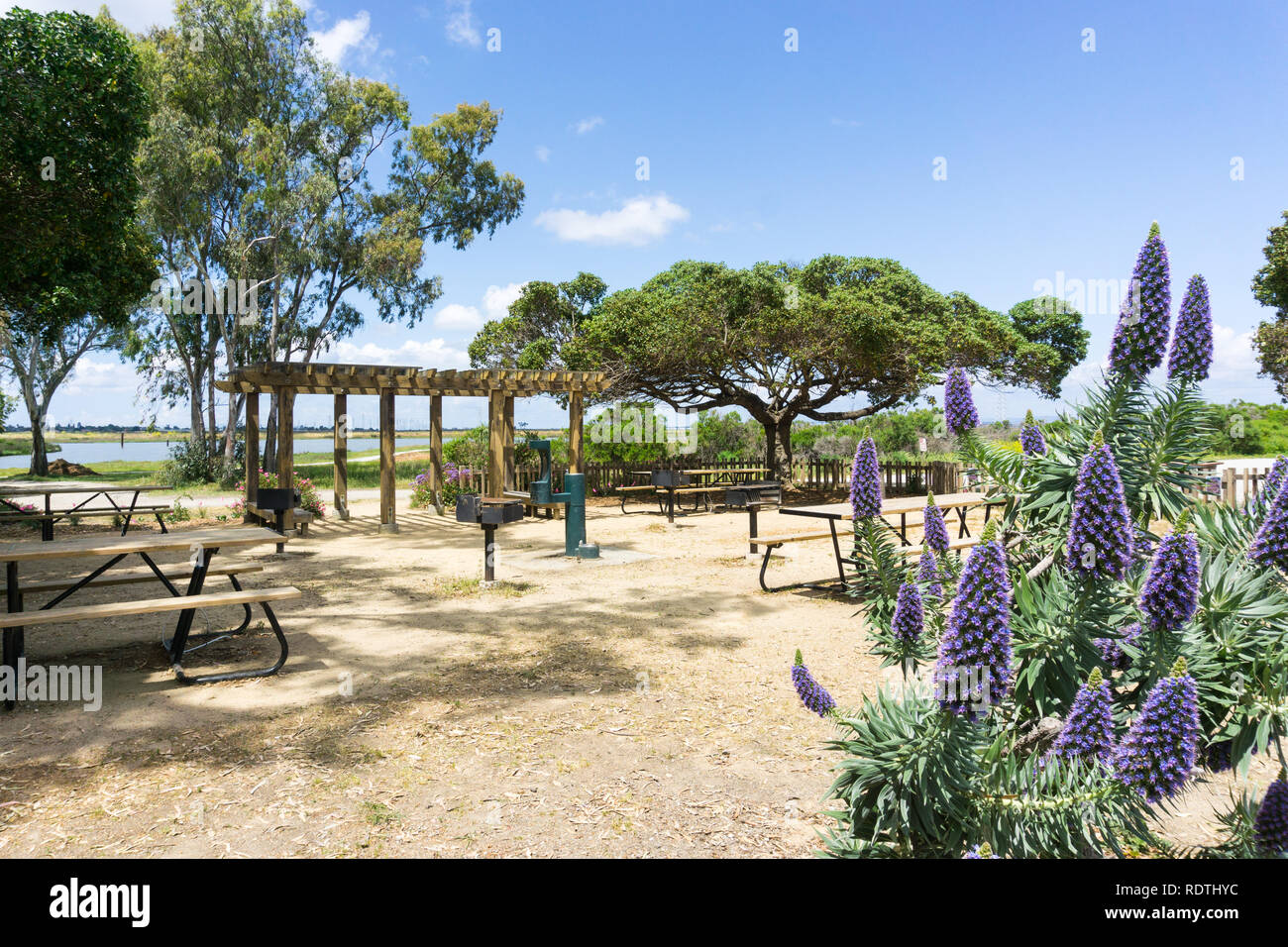 Picknickplatz mit Tischen, Grills und Wasser in Palo Alto Baylands Park, South San Francisco Bay, Kalifornien Stockfoto Picknickplatz mit Tischen, Grills und Wasser in Palo Alto Baylands Park, South San Francisco Bay, Kalifornien Stockfoto