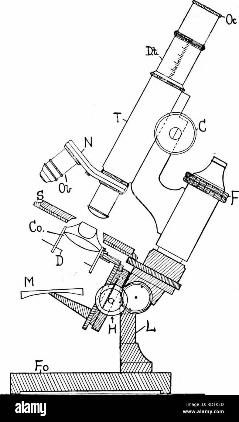 . Eine Einführung in die Struktur und die Fortpflanzung von Pflanzen. Anlage Anatomie; Pflanzen. Die zusammengesetzte Mikroskop m besteht in der Regel aus zwei großen gefräst Köpfe (C) auf beiden Seiten des Körpers, und durch Drehen der beiden, das Betätigen einer Zahnstange und Ritzel Mechanismus, eine relativ große Bewegung ist. Die feine- ren wird in der Regel von einem einzigen gefrästem Kopf betrieben (F.), an der Spitze des Gliedes gelegen, und auf diese Weise eine sehr leichte Bewegung erfolgt, ermöglicht große Genauigkeit der Fokussierung auf gehalten zu werden. Unterhalb der Bühne ist fest einstellen - in der Lage, Aperture, der Membran (D), von m Stockfoto