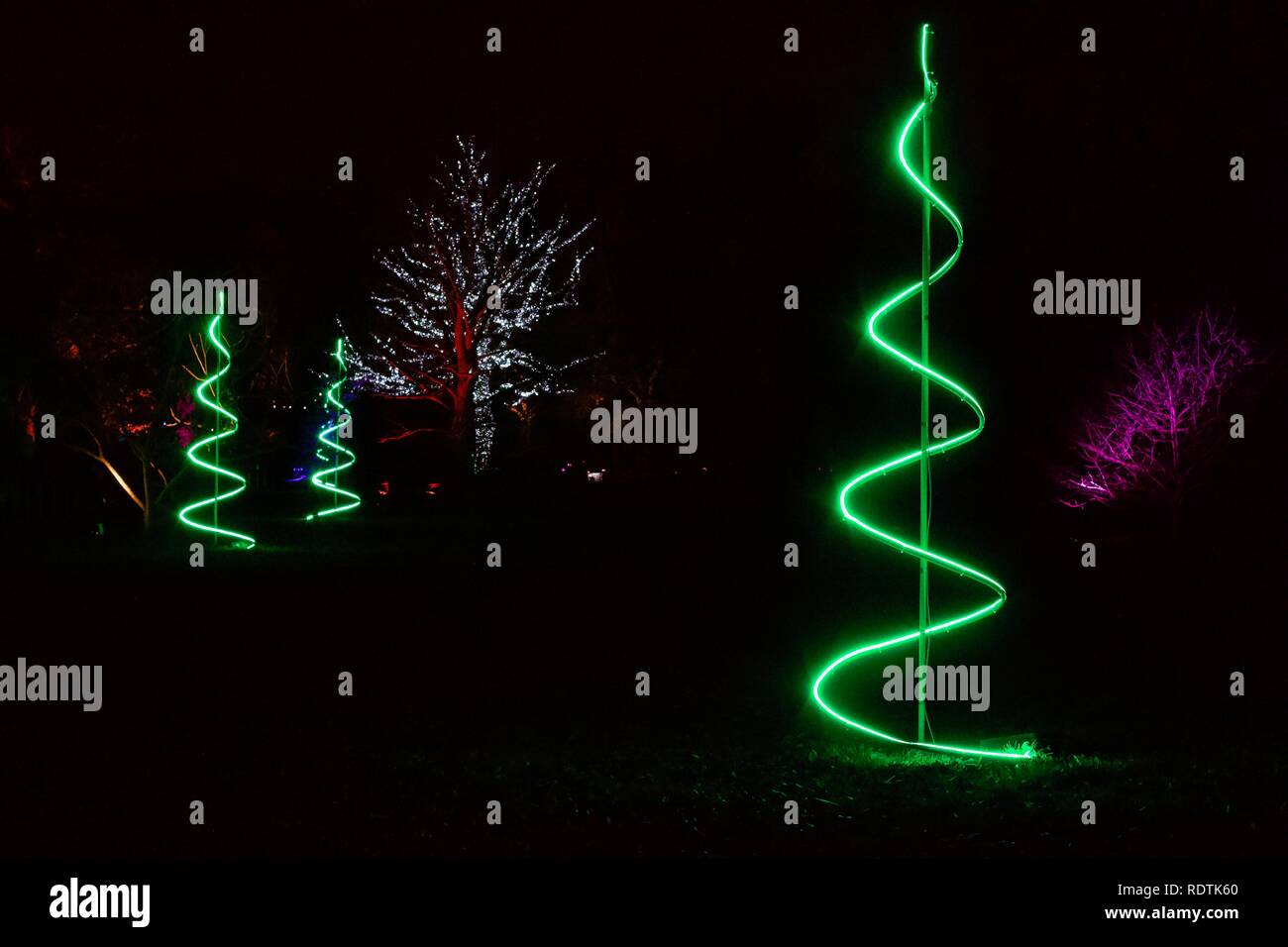 3 grüne Glimmlampe Weihnachtsbäume an Weihnachten in Kew Gardens 2018 Stockfoto